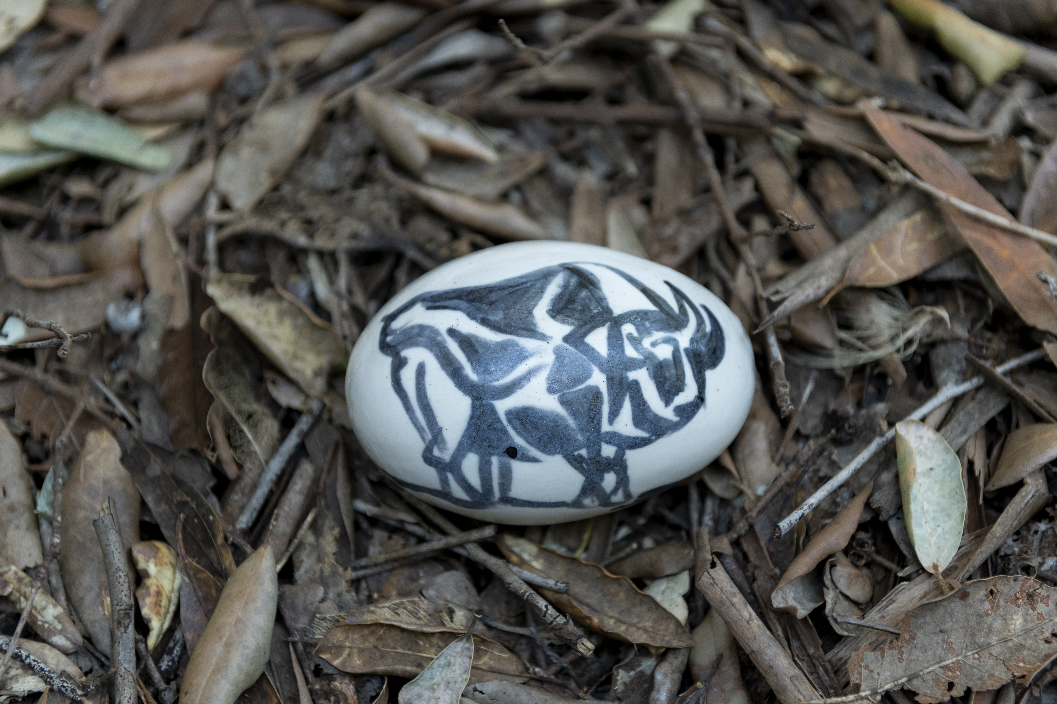 Discover a bush art gallery