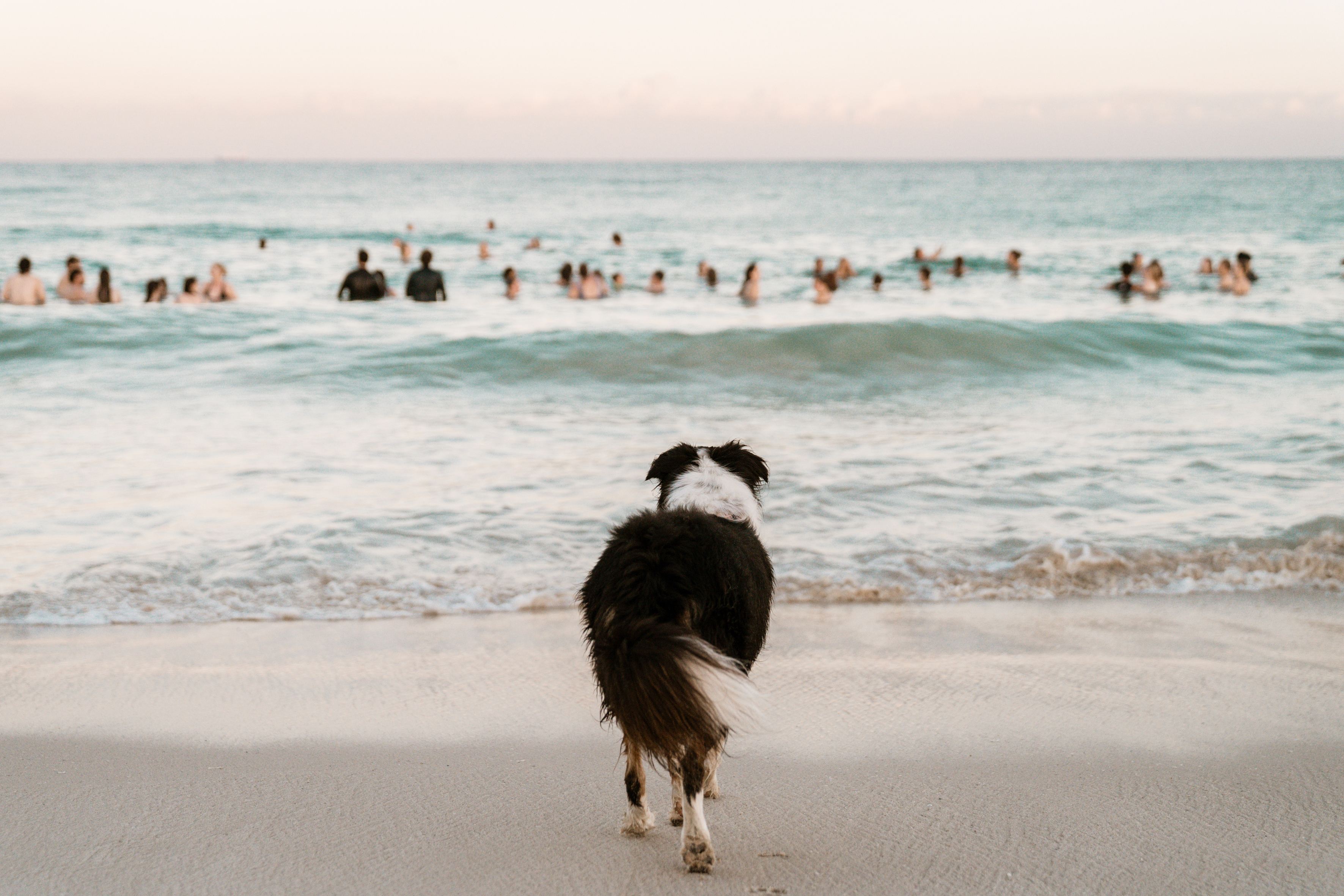 Hello, Tuesday readers