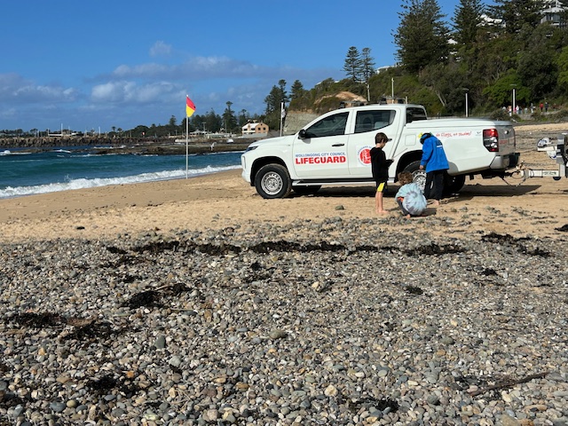 What's happened to Wollongong's most loved beach?  post image