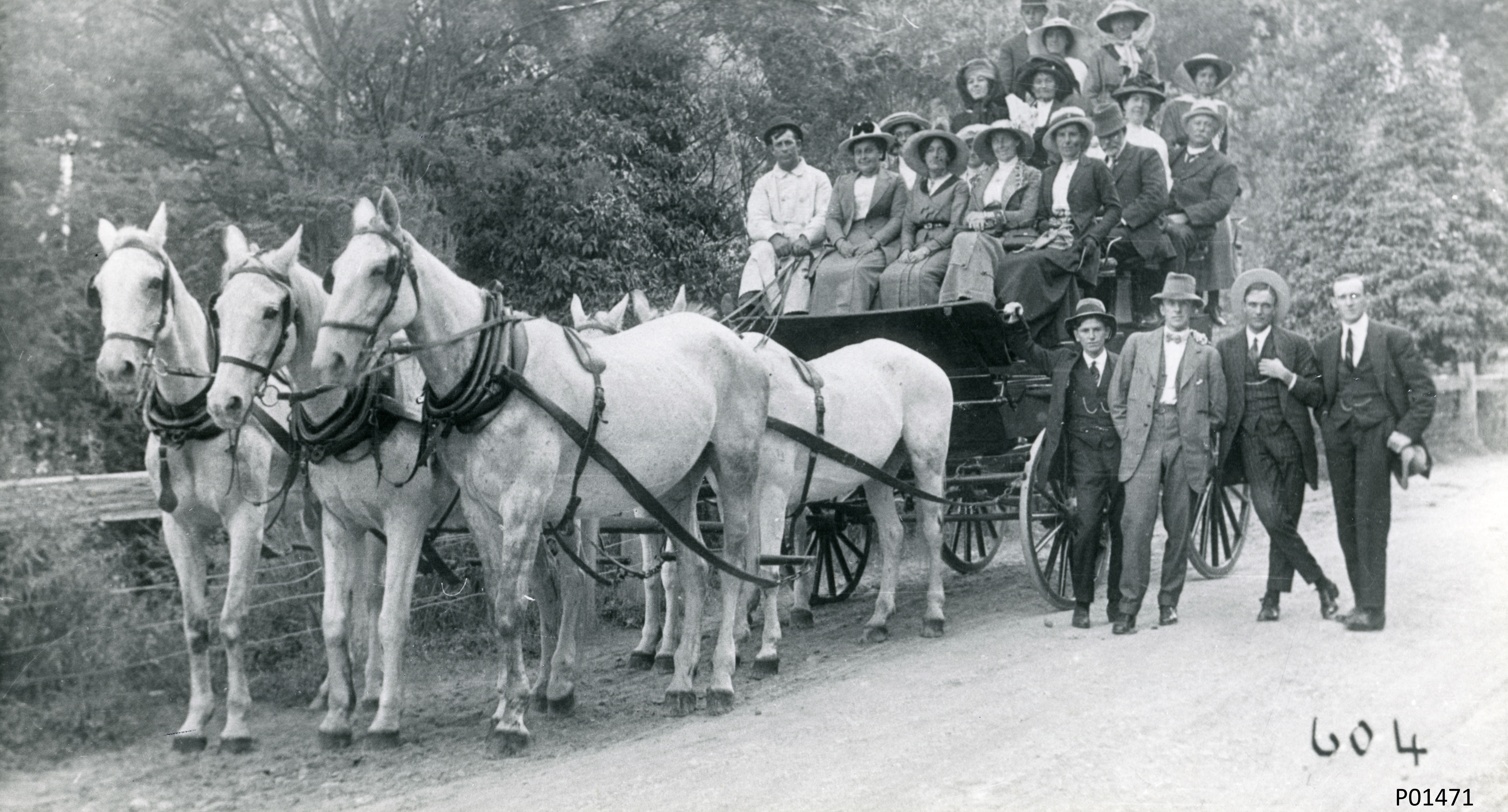 Coming down the mountain  post image