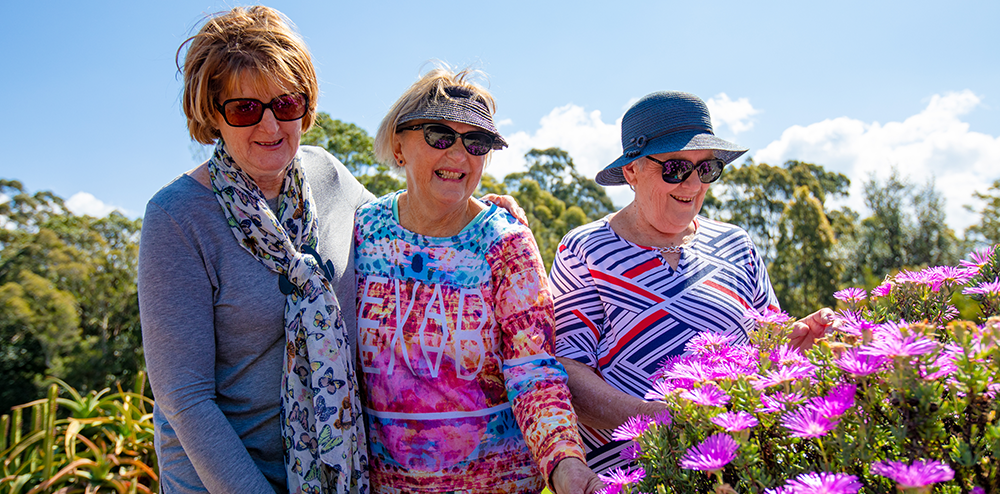 Seniors Festival back for 2022!