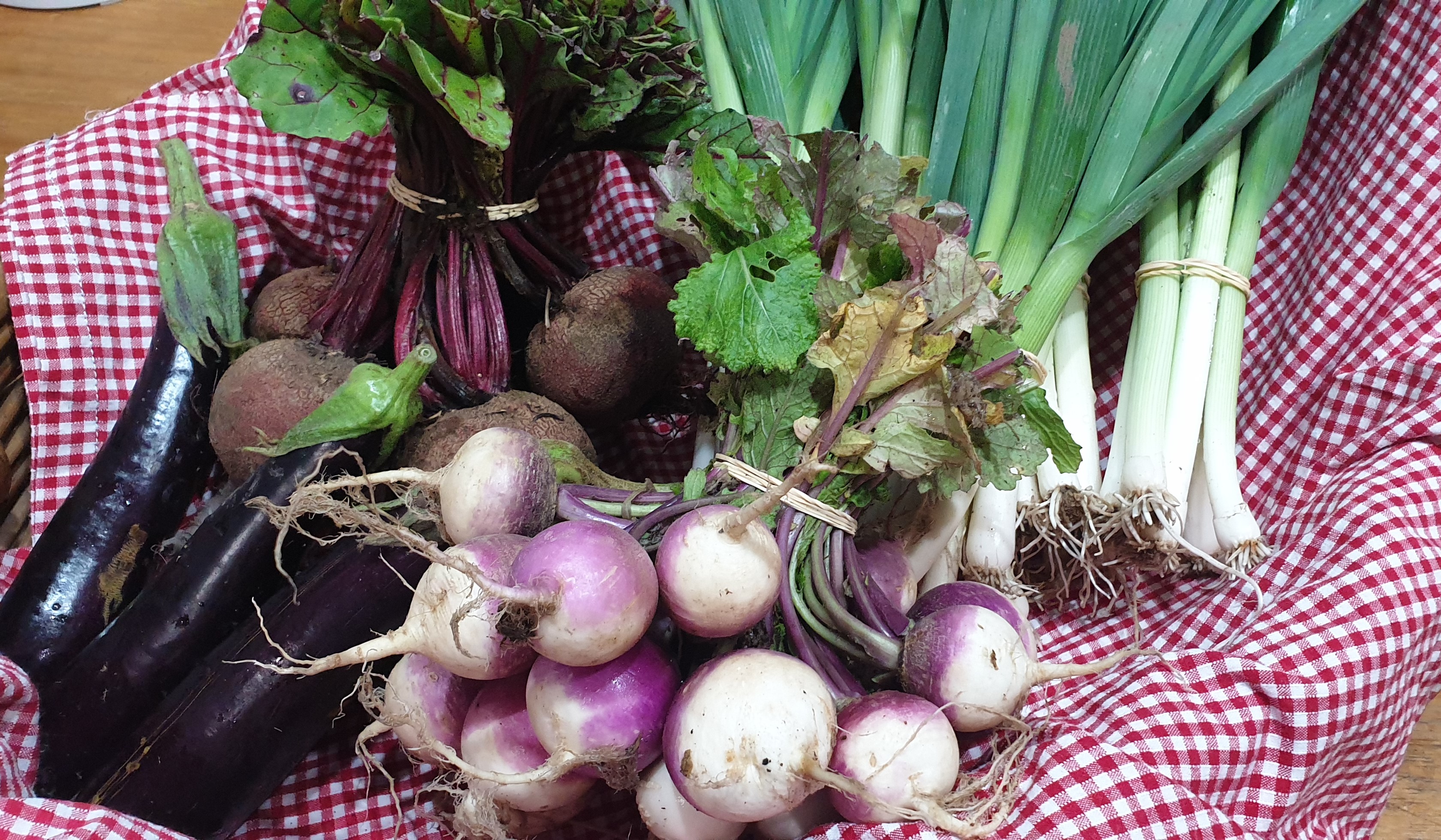 What is Food Fairness Illawarra?