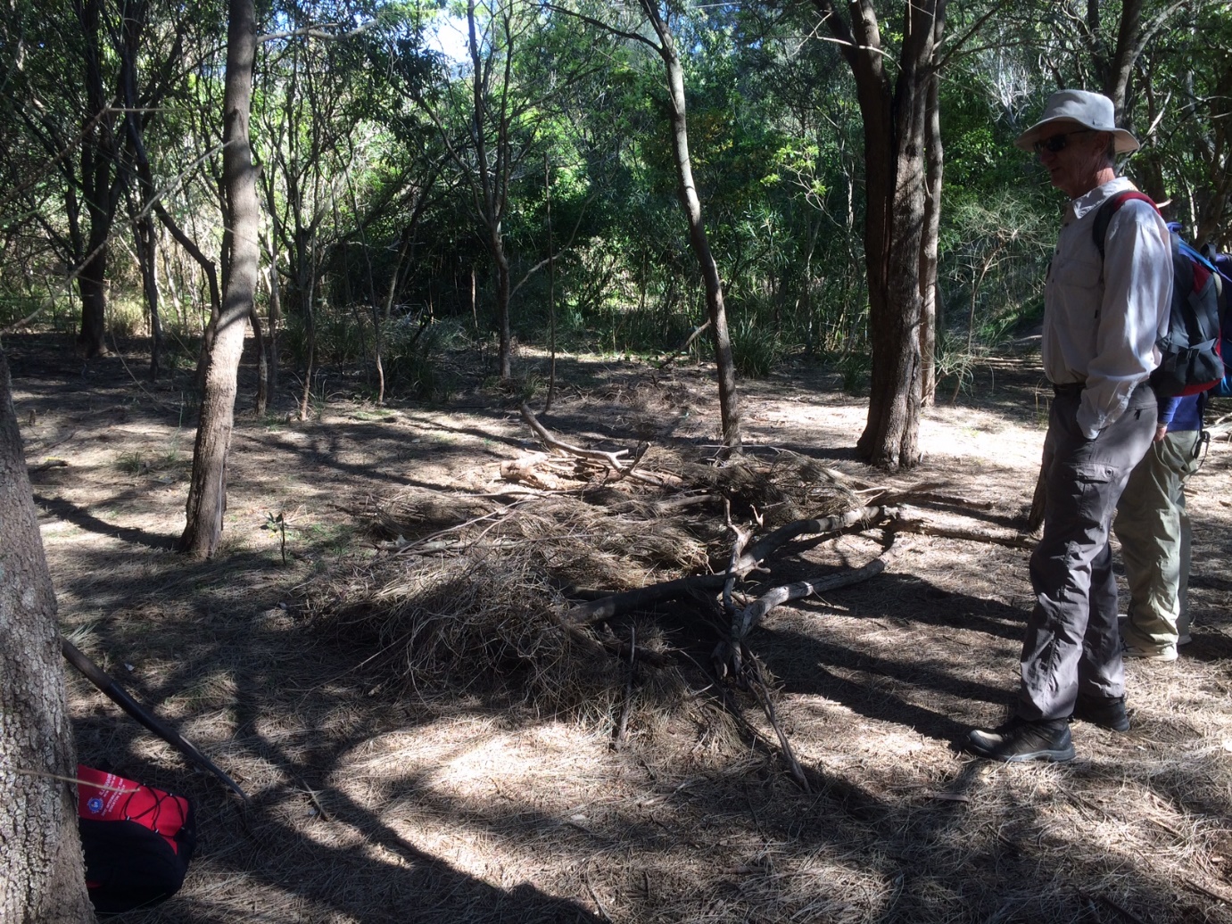 Bushcare work undone