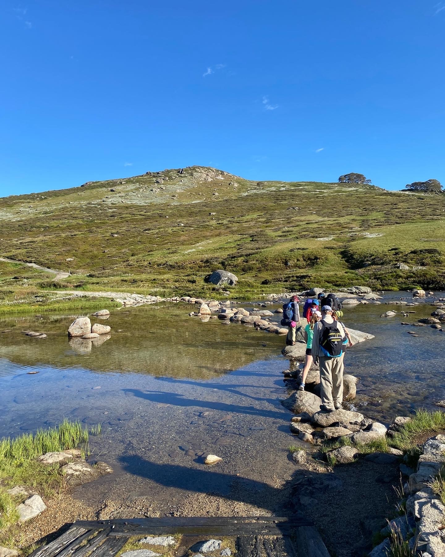 Discover what Scouts is all about