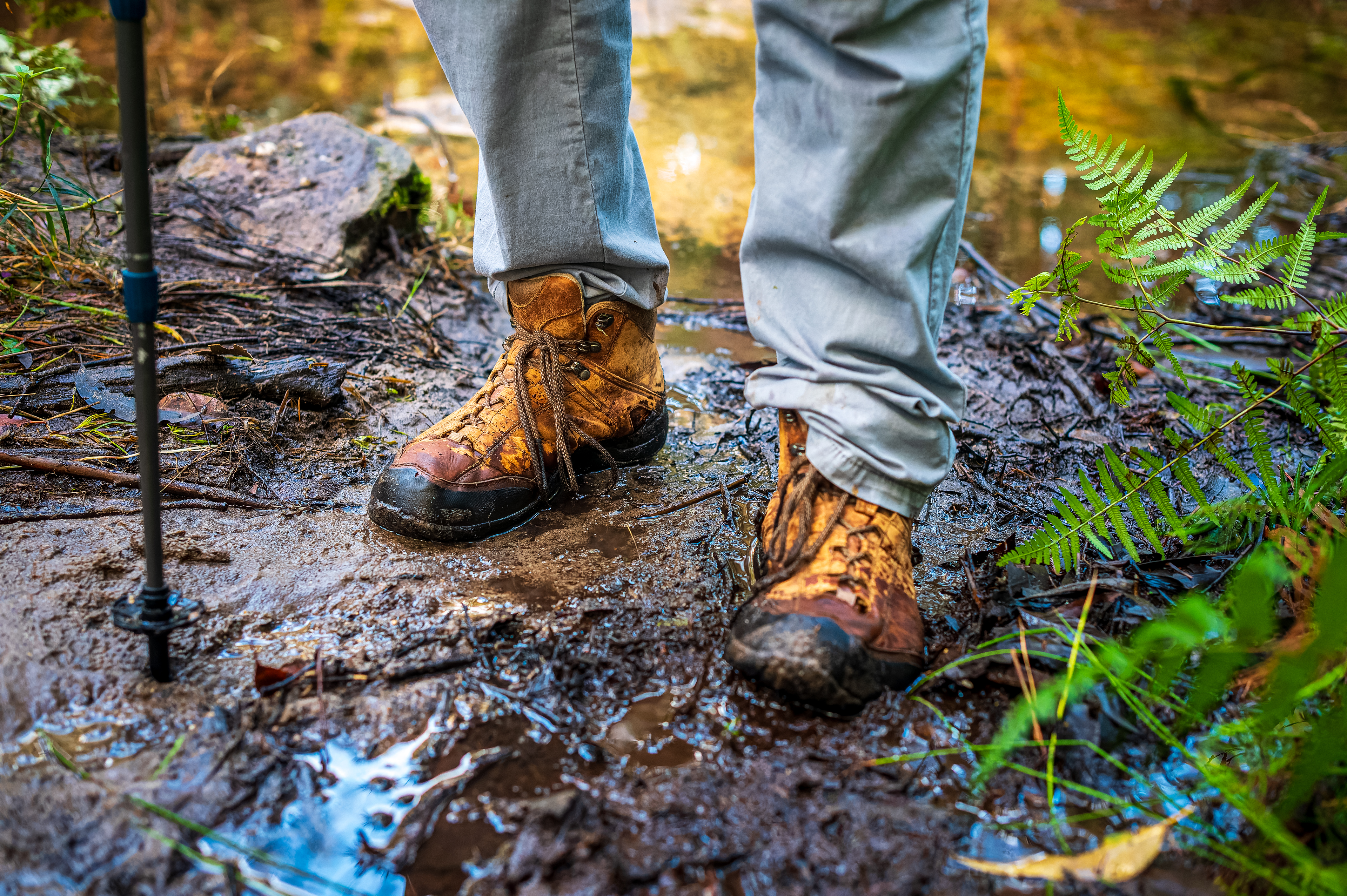 Luxury hiking developments look picture-perfect, but could stop everyday Australians from accessing national parks