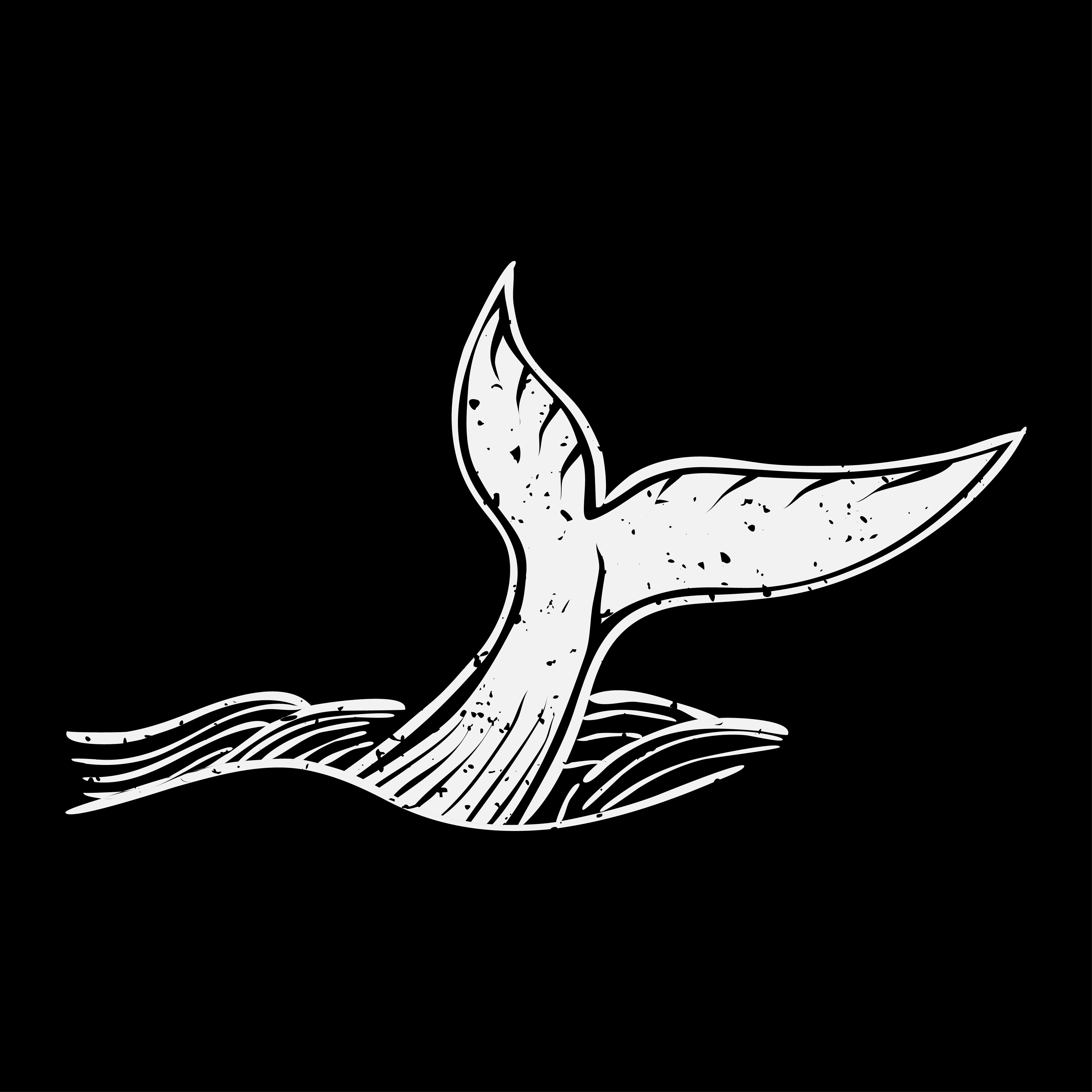 Humpback whales hold lore for Traditional Custodians. But laws don’t protect species for their cultural significance