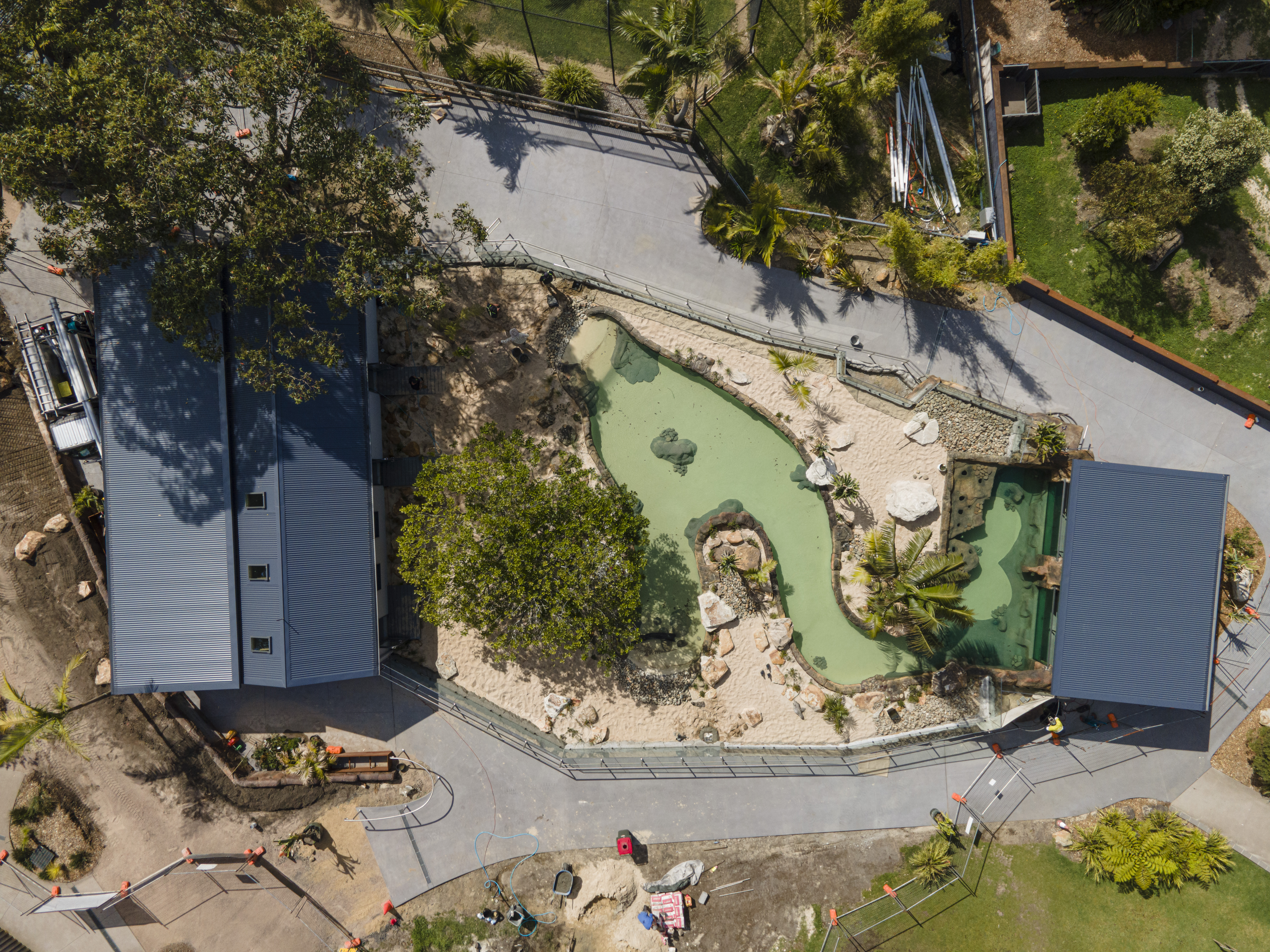 Penguins are coming to Symbio Wildlife Park!  post image