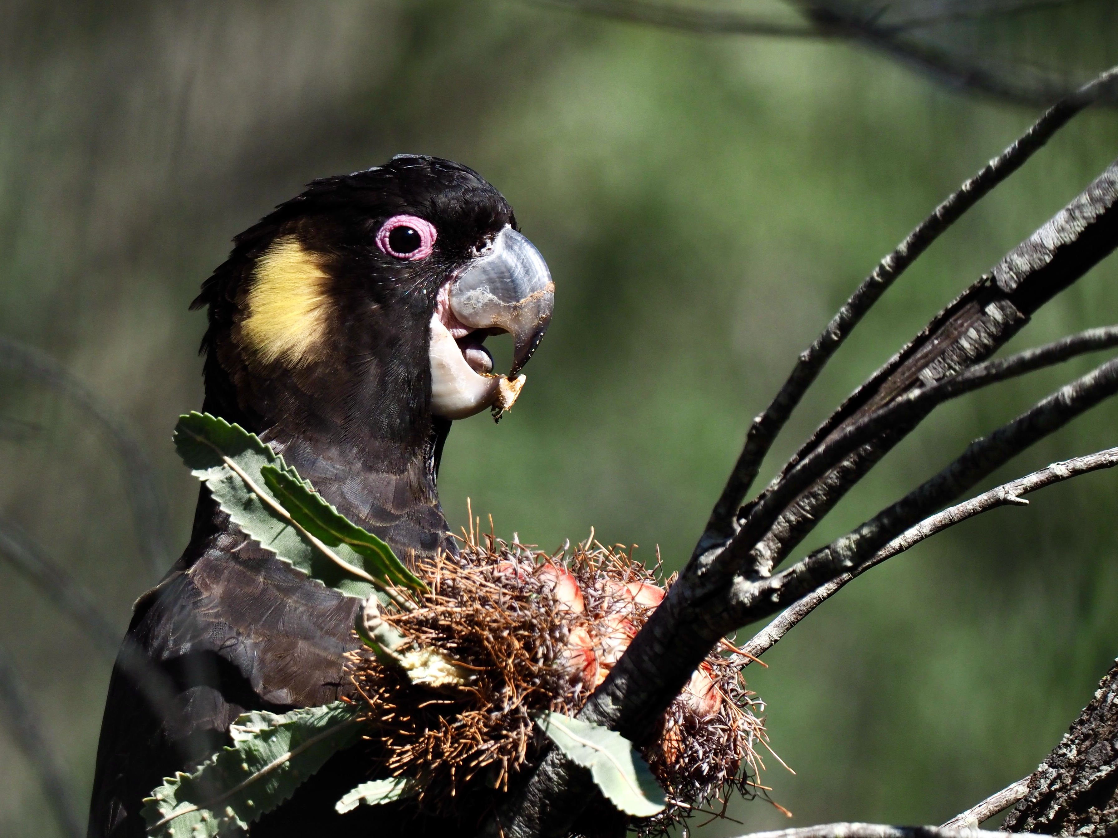 A beautiful time machine  post image