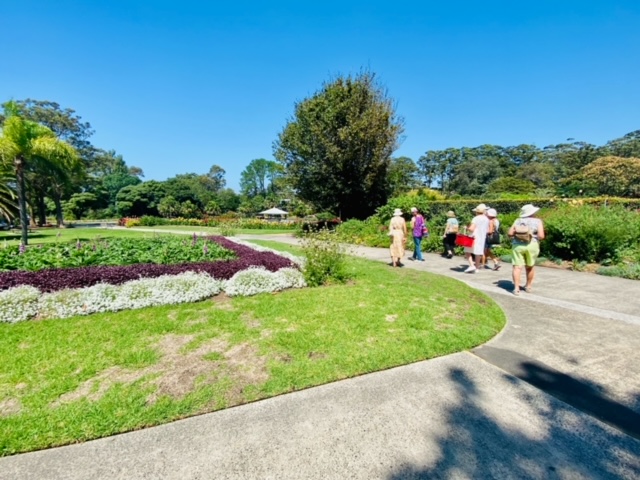 Join the CWA – no scone skills required  post image