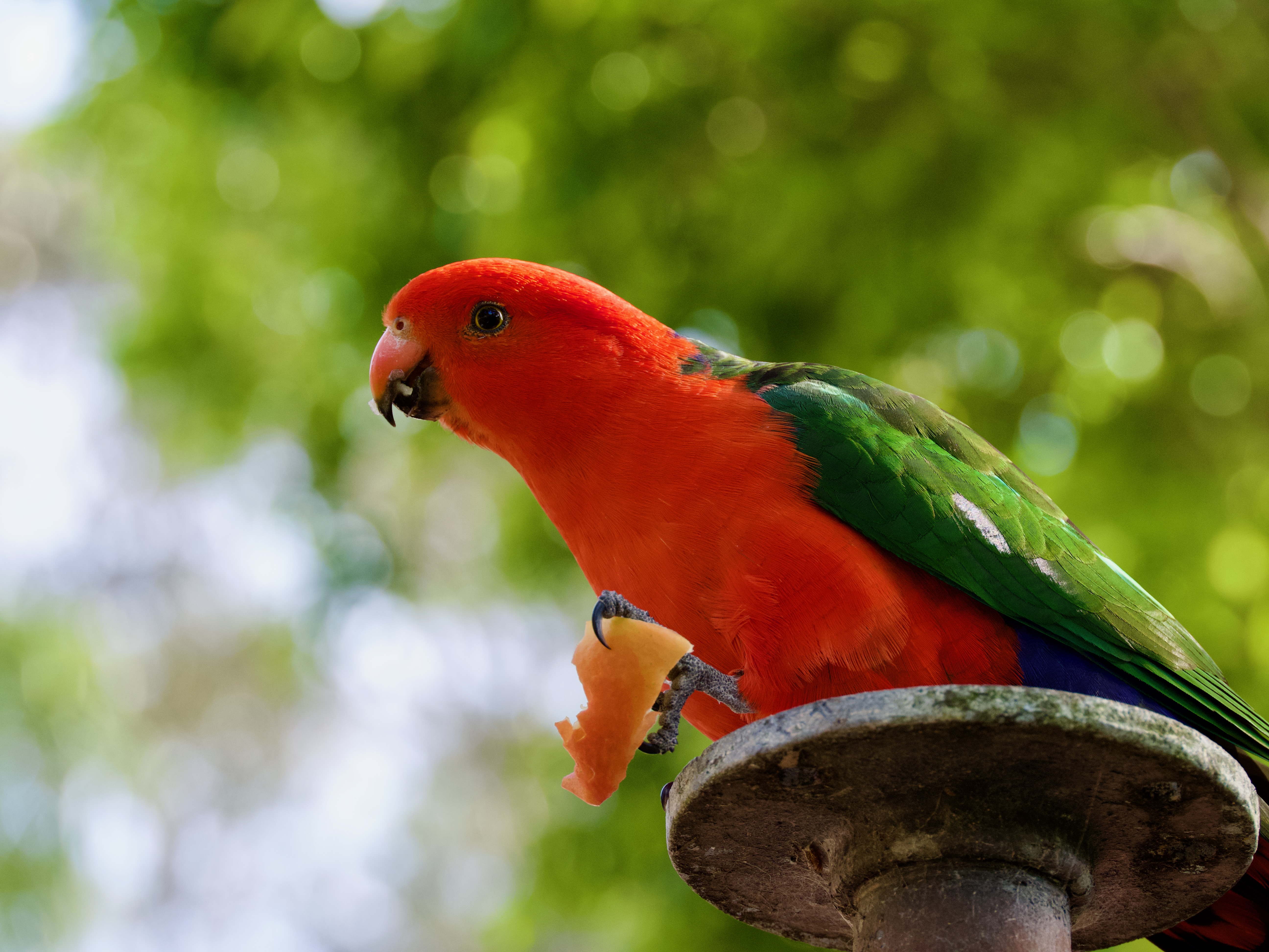 In praise of the micro-adventure