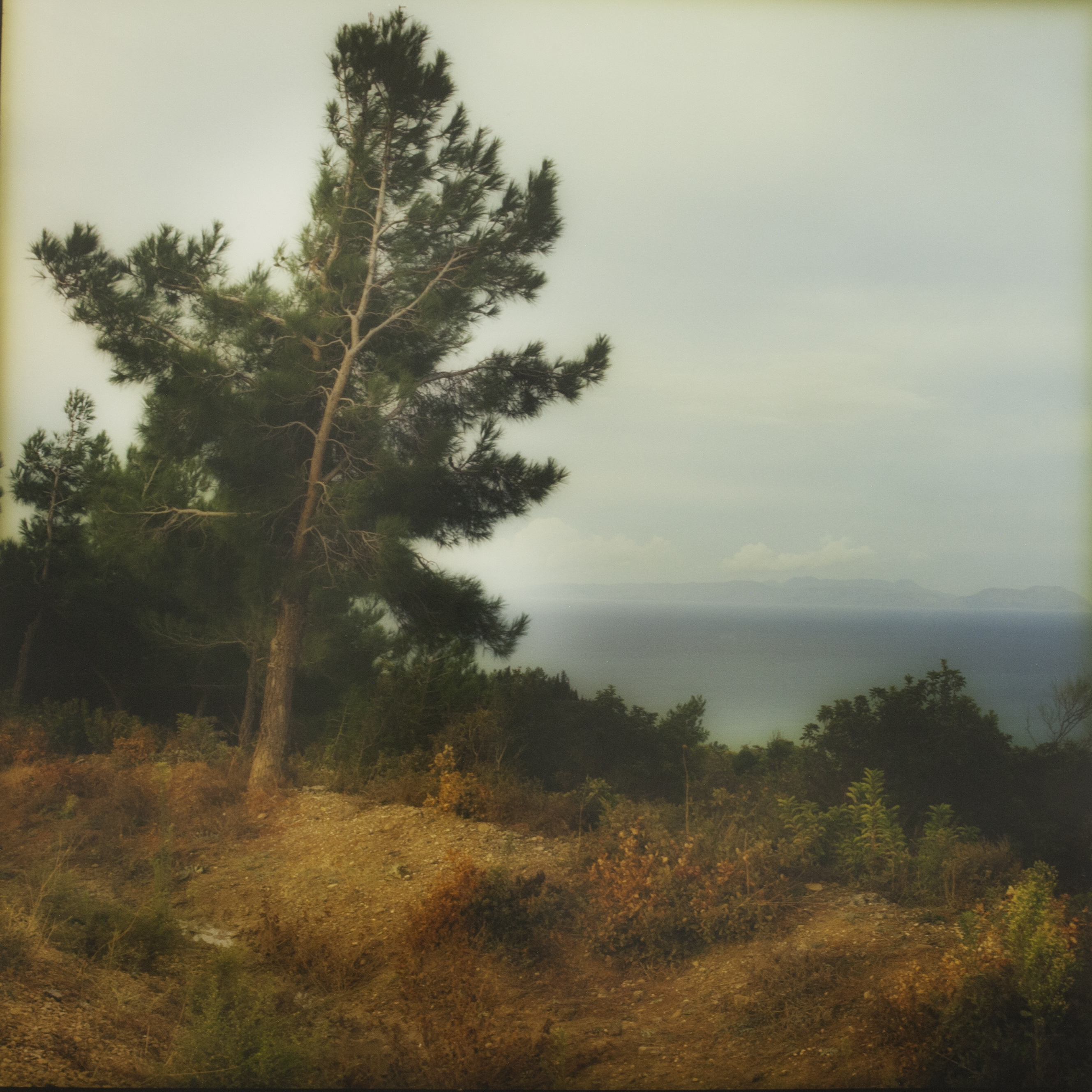 Their names upon Gallipoli  post image