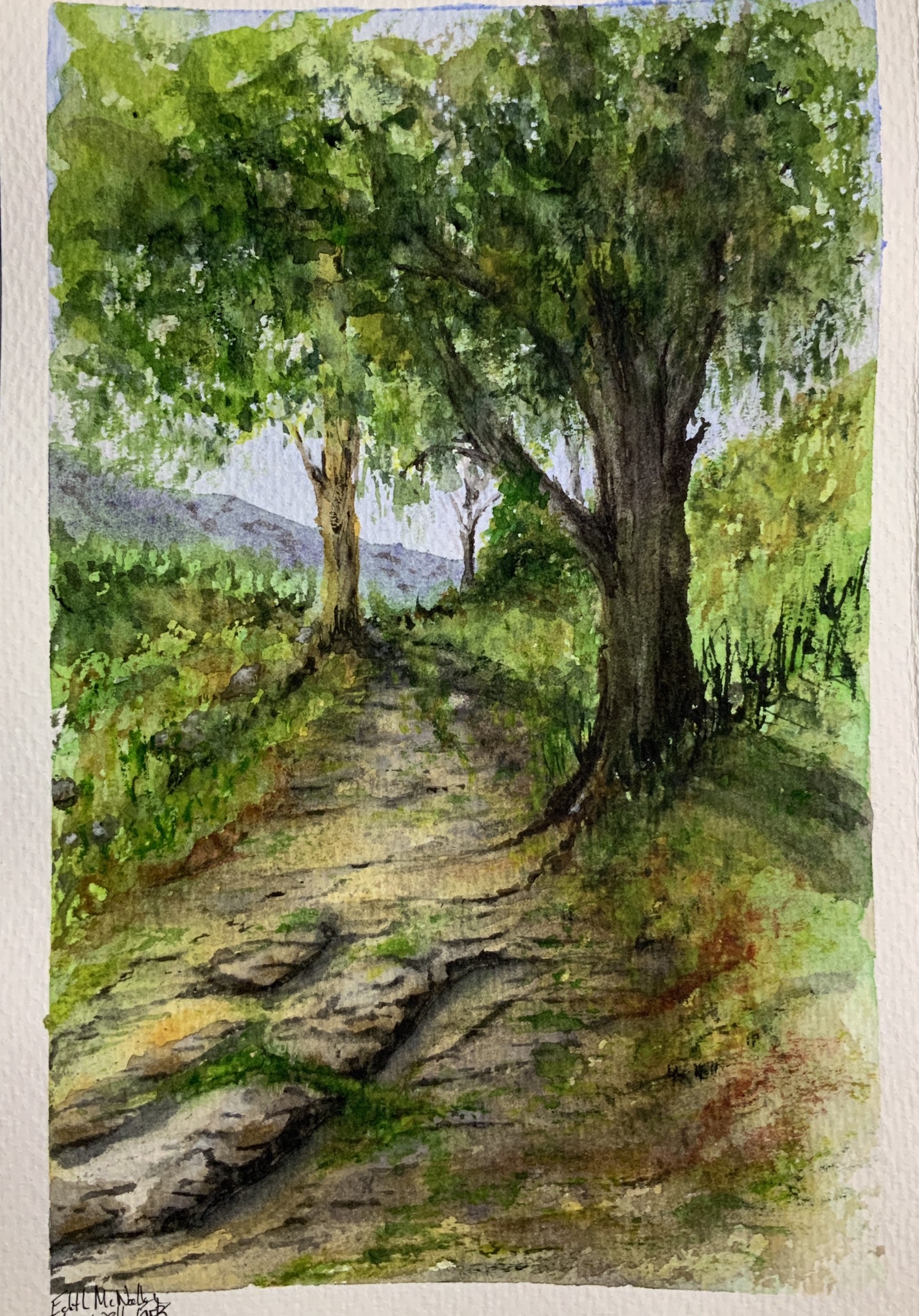 Walk this way: Edith's favourite hikes