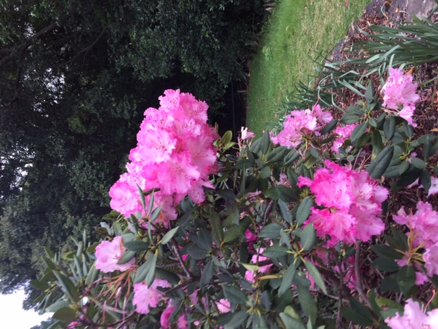 Needed: 'Help in paradise'