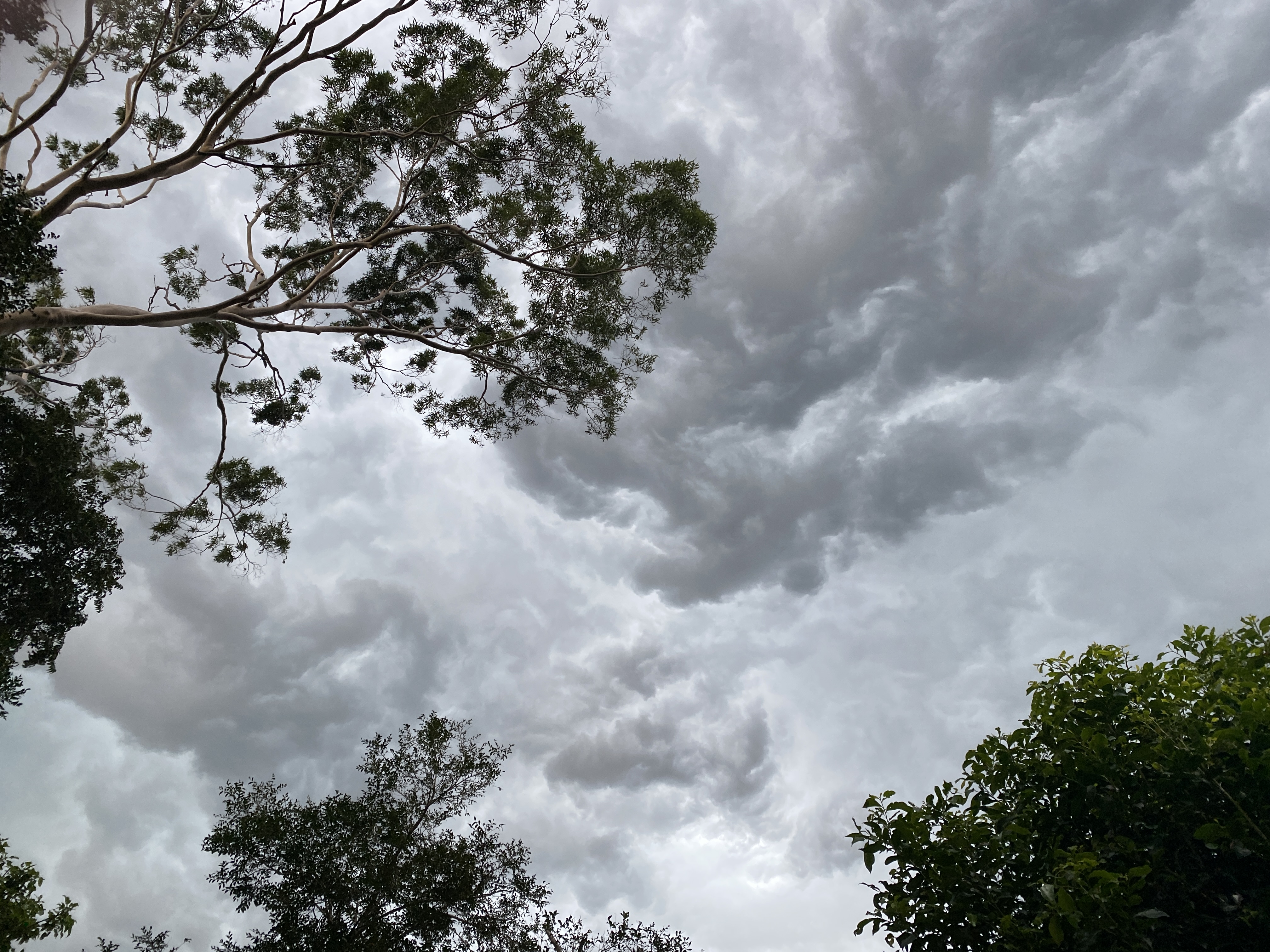 Hello, Wednesday readers