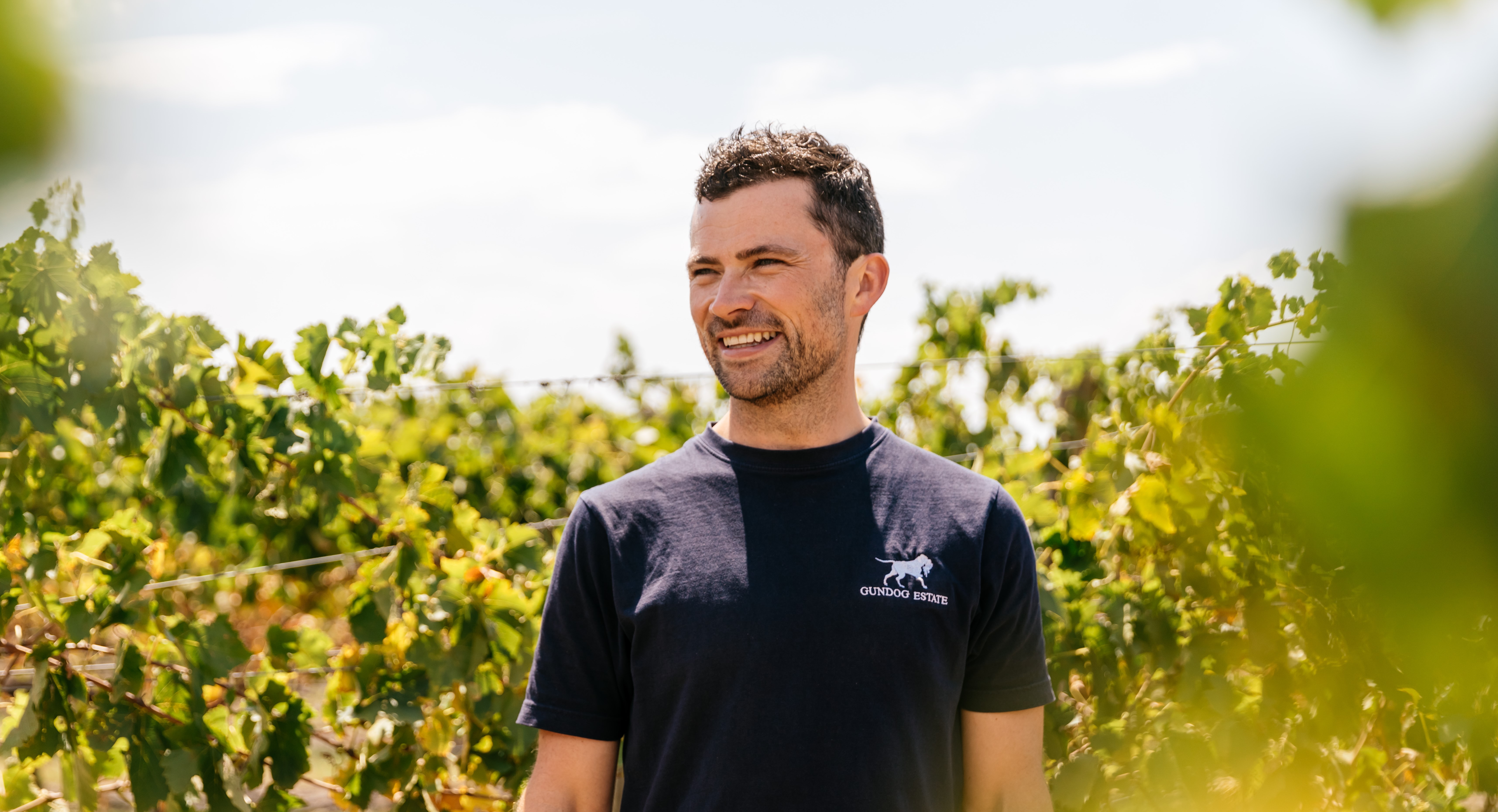 Q&A with a winemaker