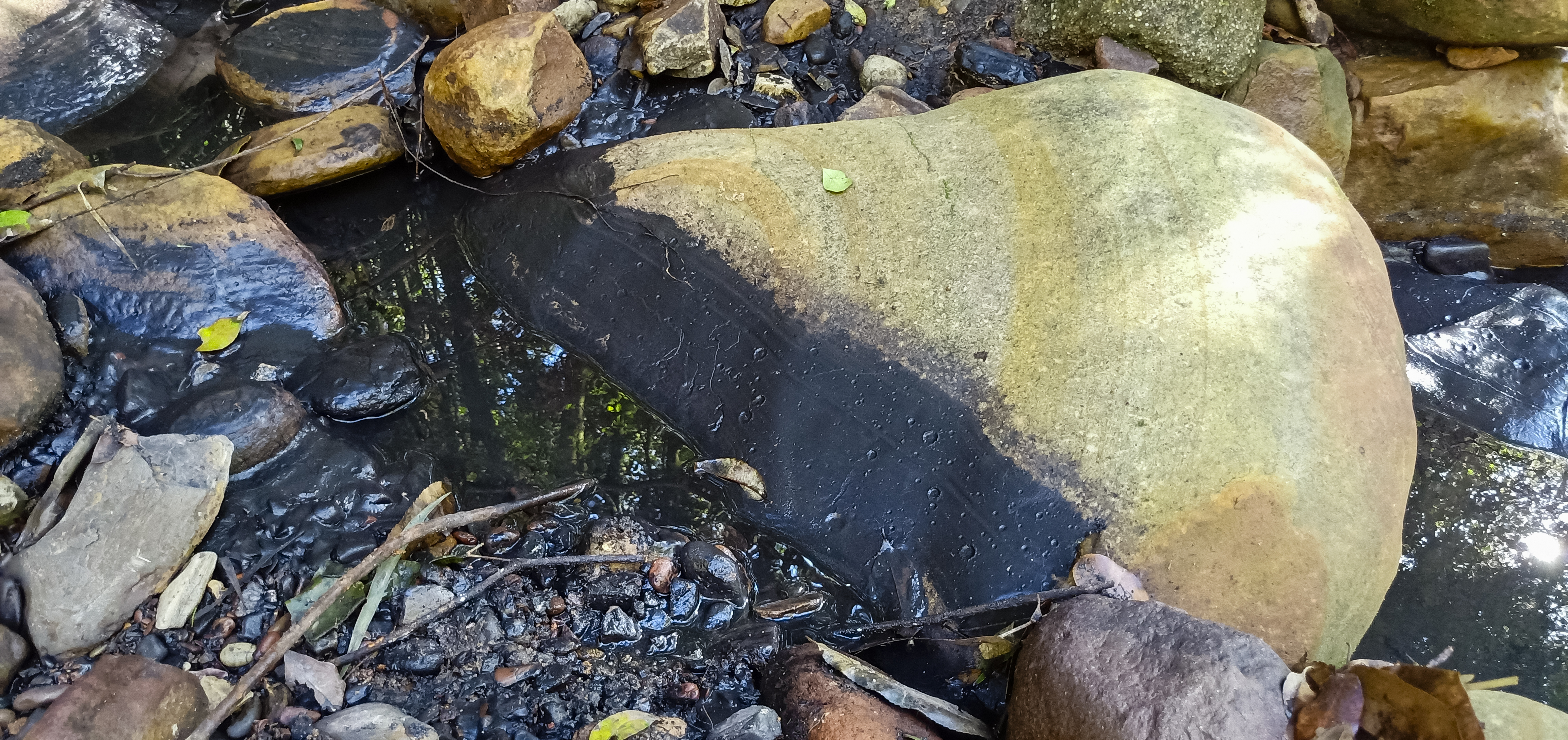 Trouble with holding Peabody to account  post image