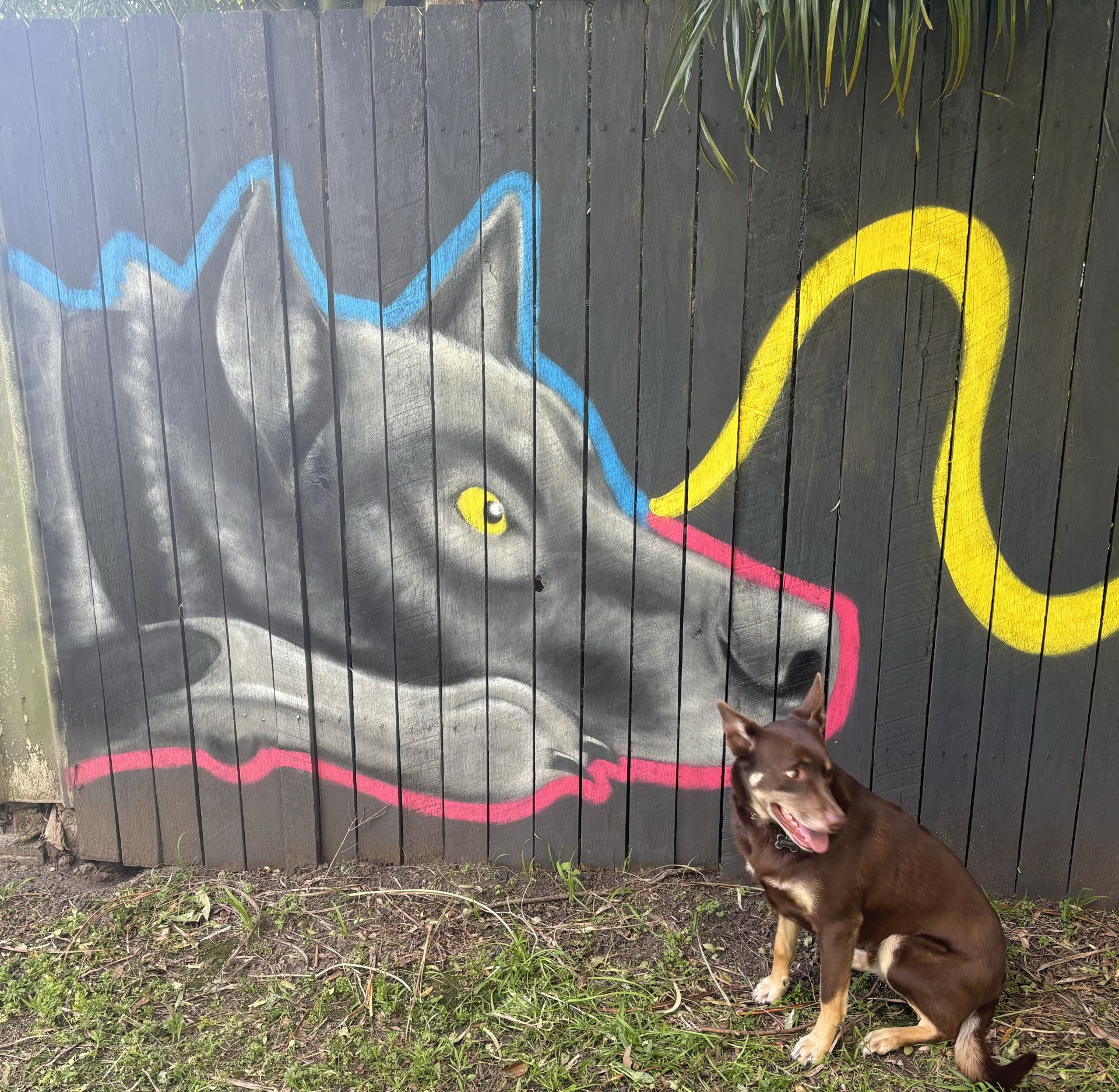Bulli street artist brings style to the suburbs