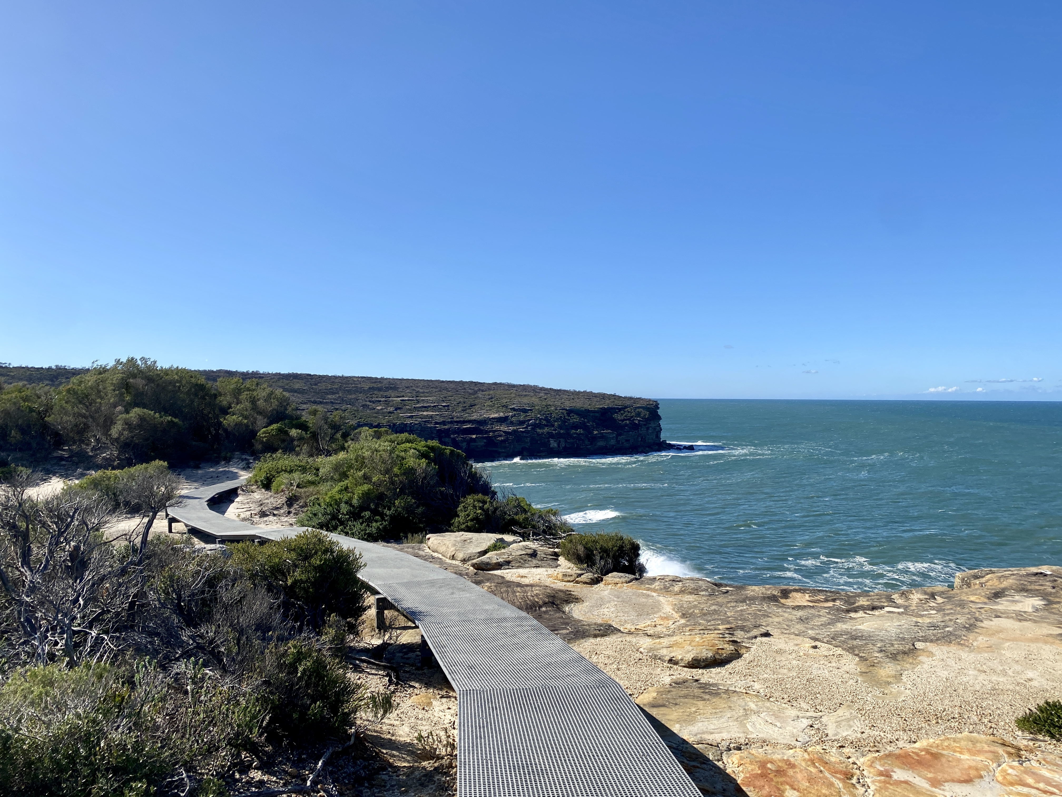 Nature Notes: Wattamolla reopens + echidna love trains