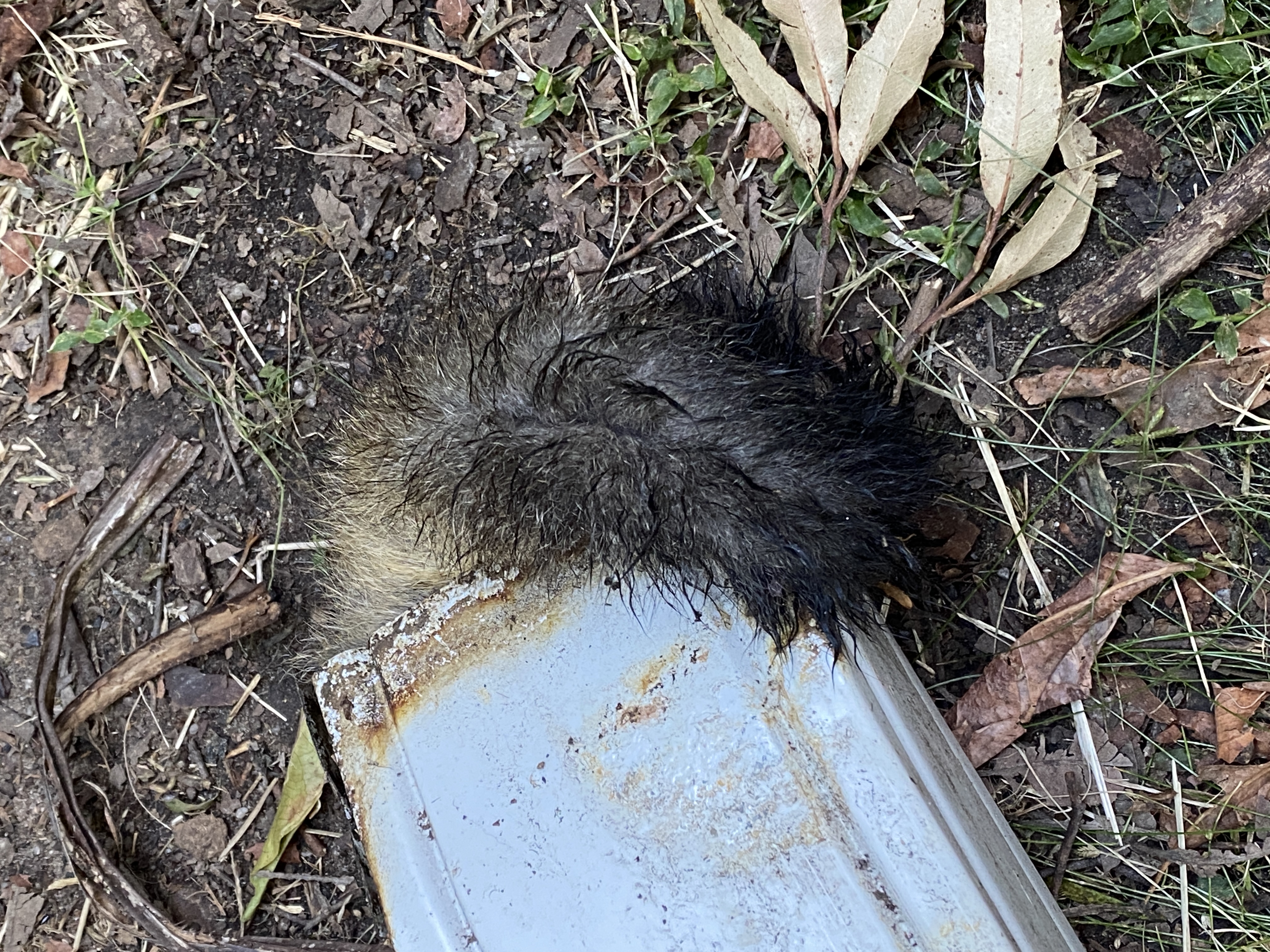 What on earth Wednesday: Things that go bump in the night