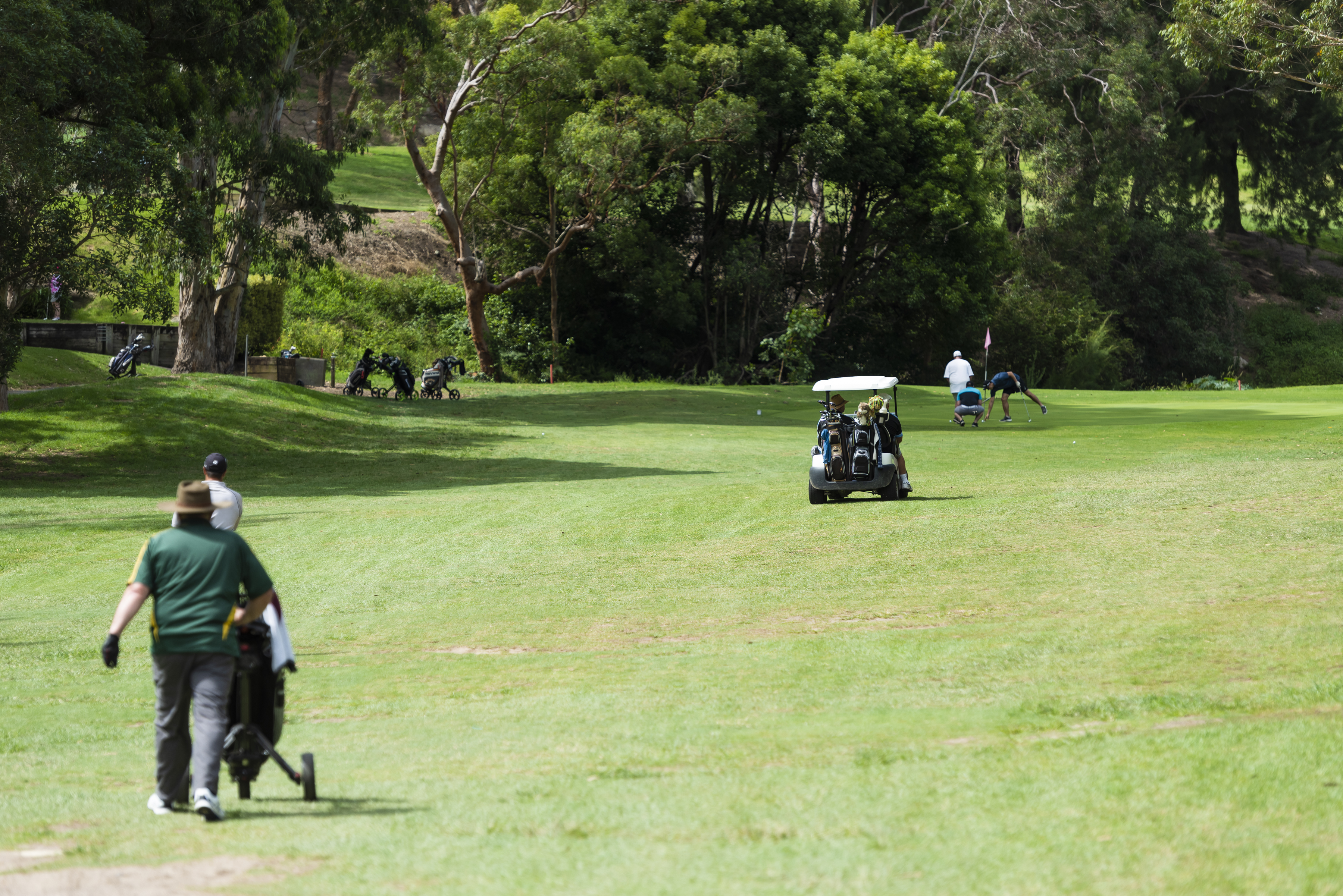 December's Golf Reports  post image