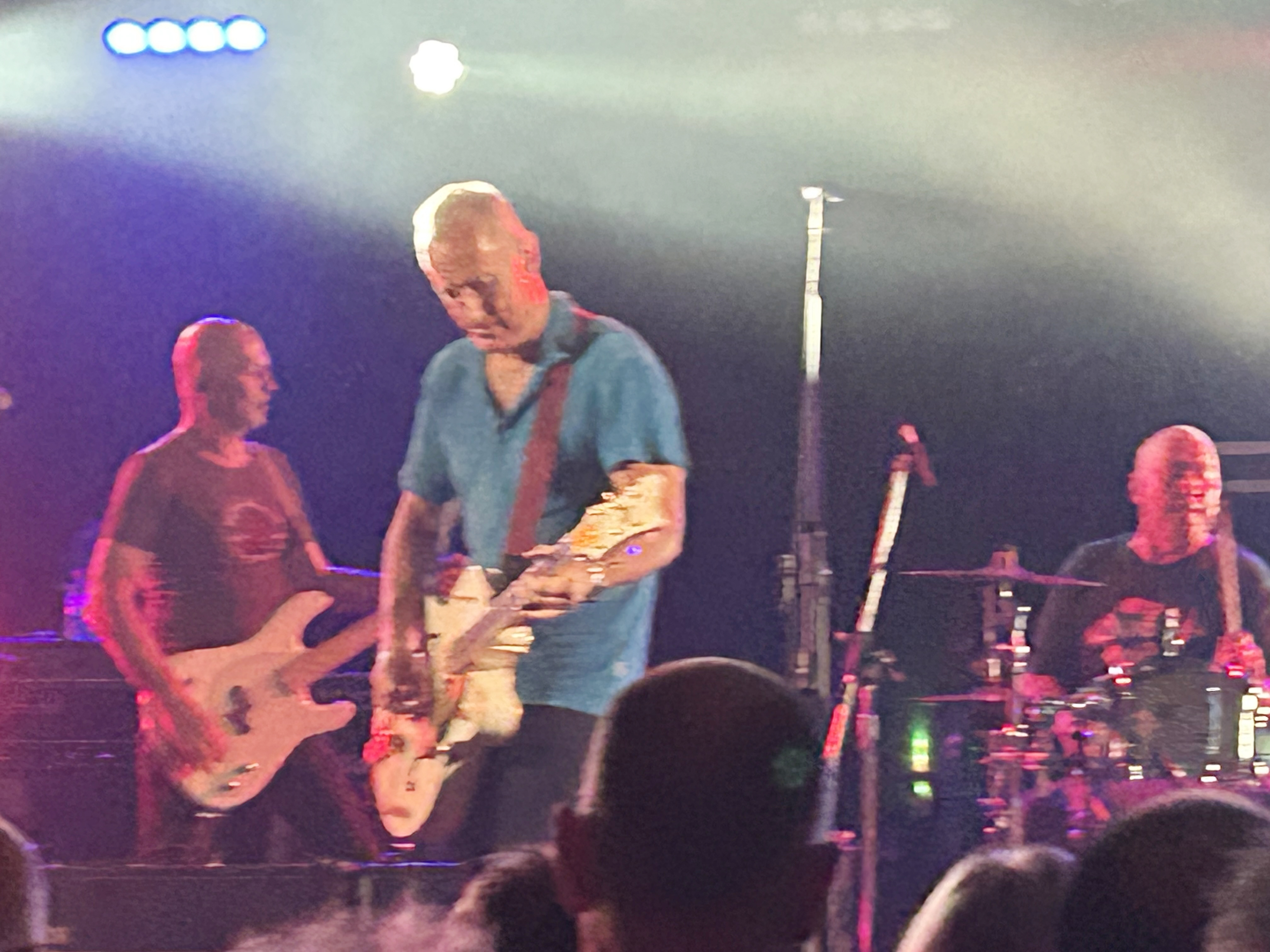 Reckless in Towradgi