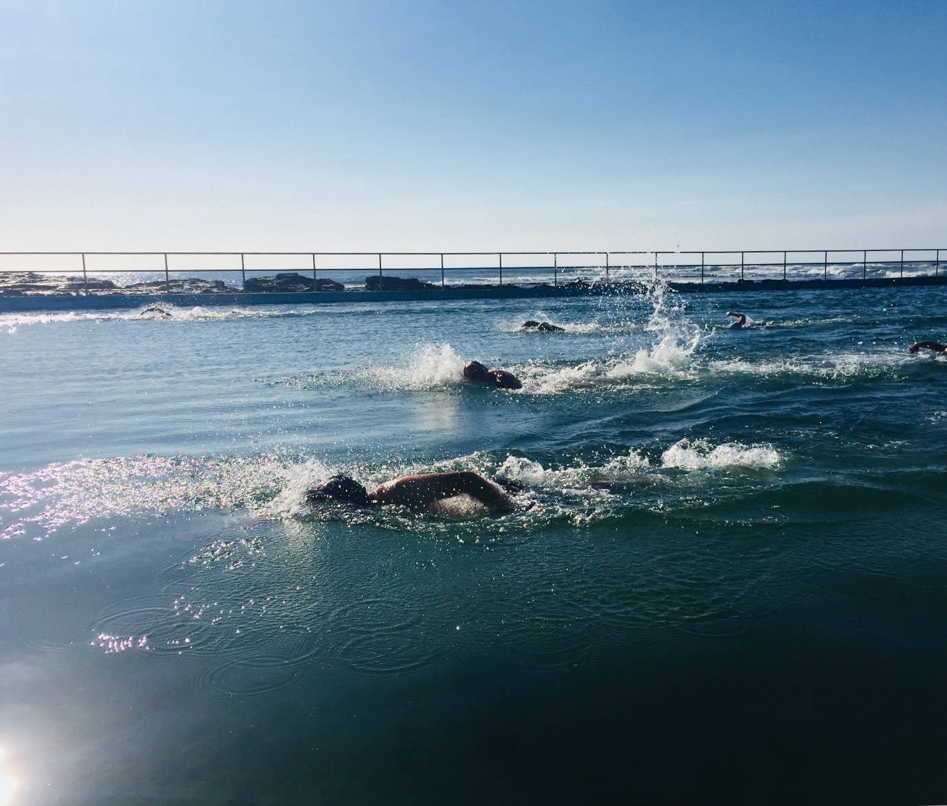 Sea Eels poised for 33rd winter swim season