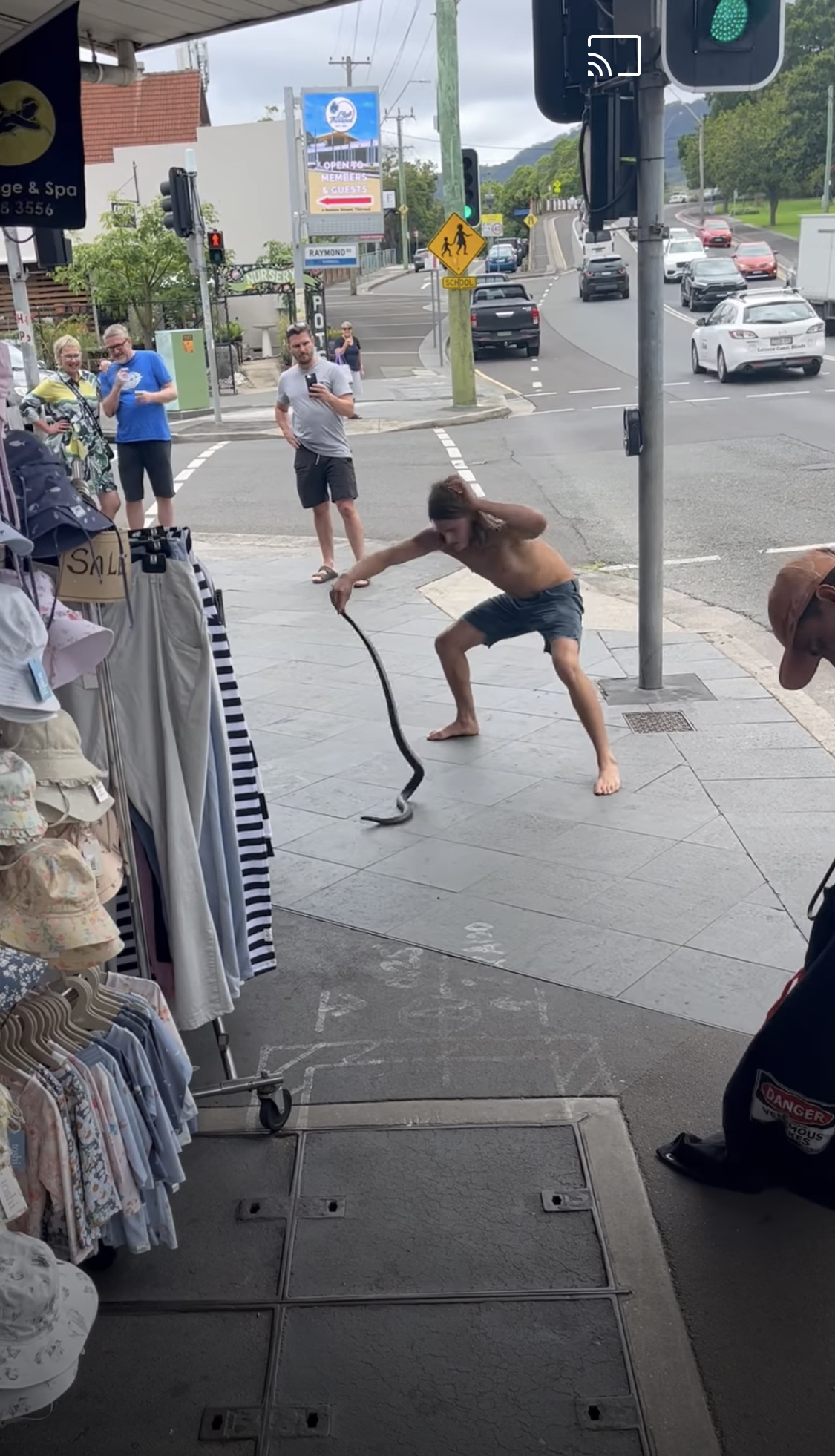 Nature Notes: Snakes in the city, comet E3 and tiny forests grow