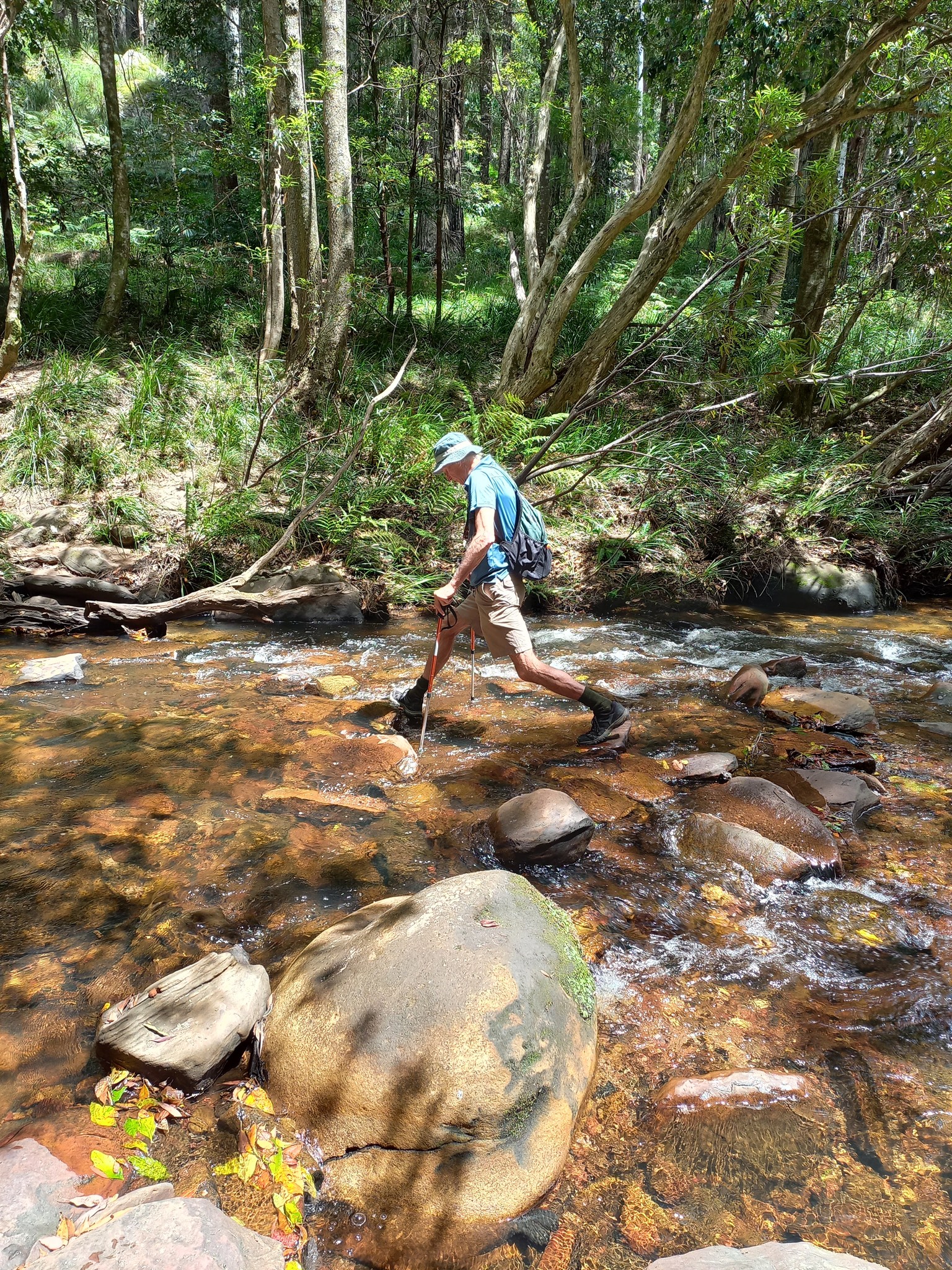 Not all who wander are lost - meet the Ramblers  post image