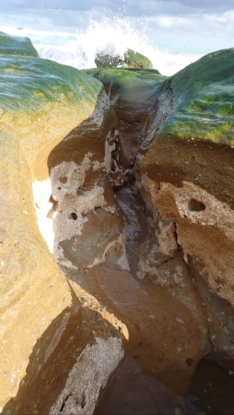 Hello Fish: Erosion exposed ancient worm