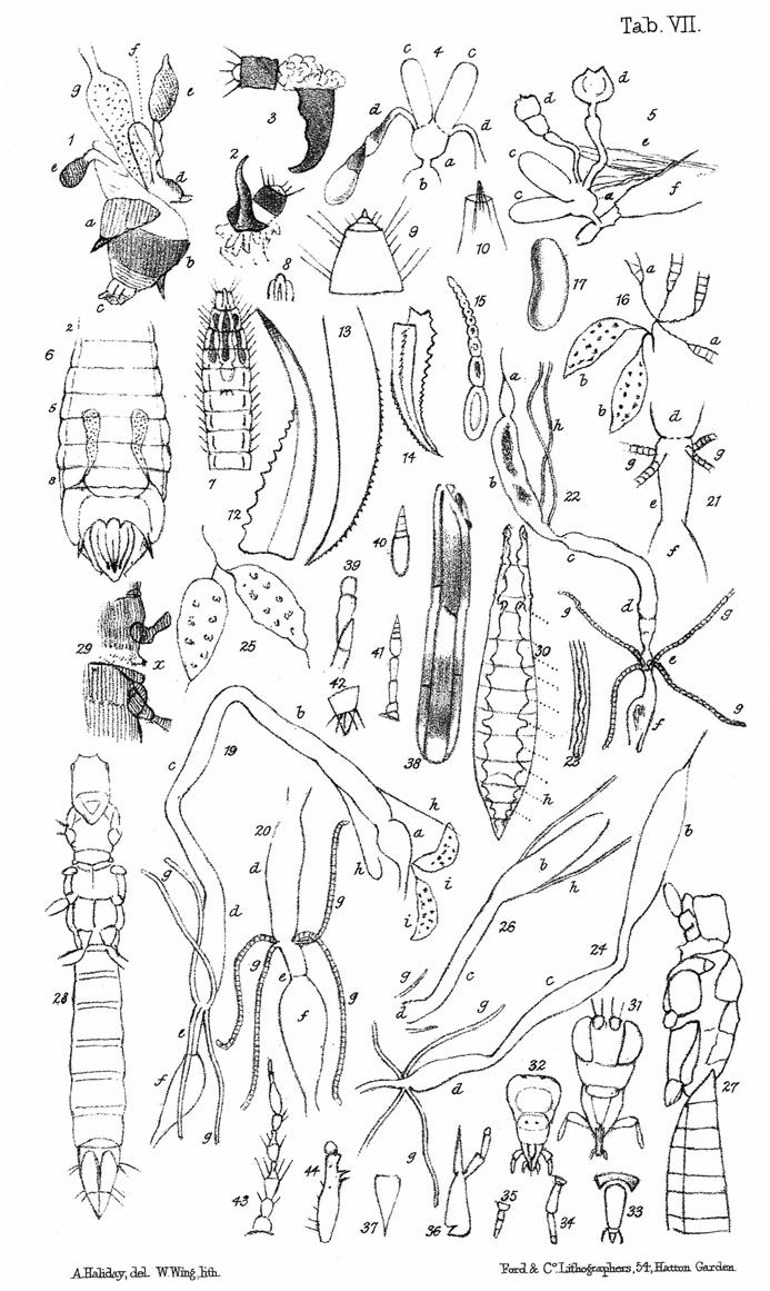 Beetling About: Why you need to know your insect bits