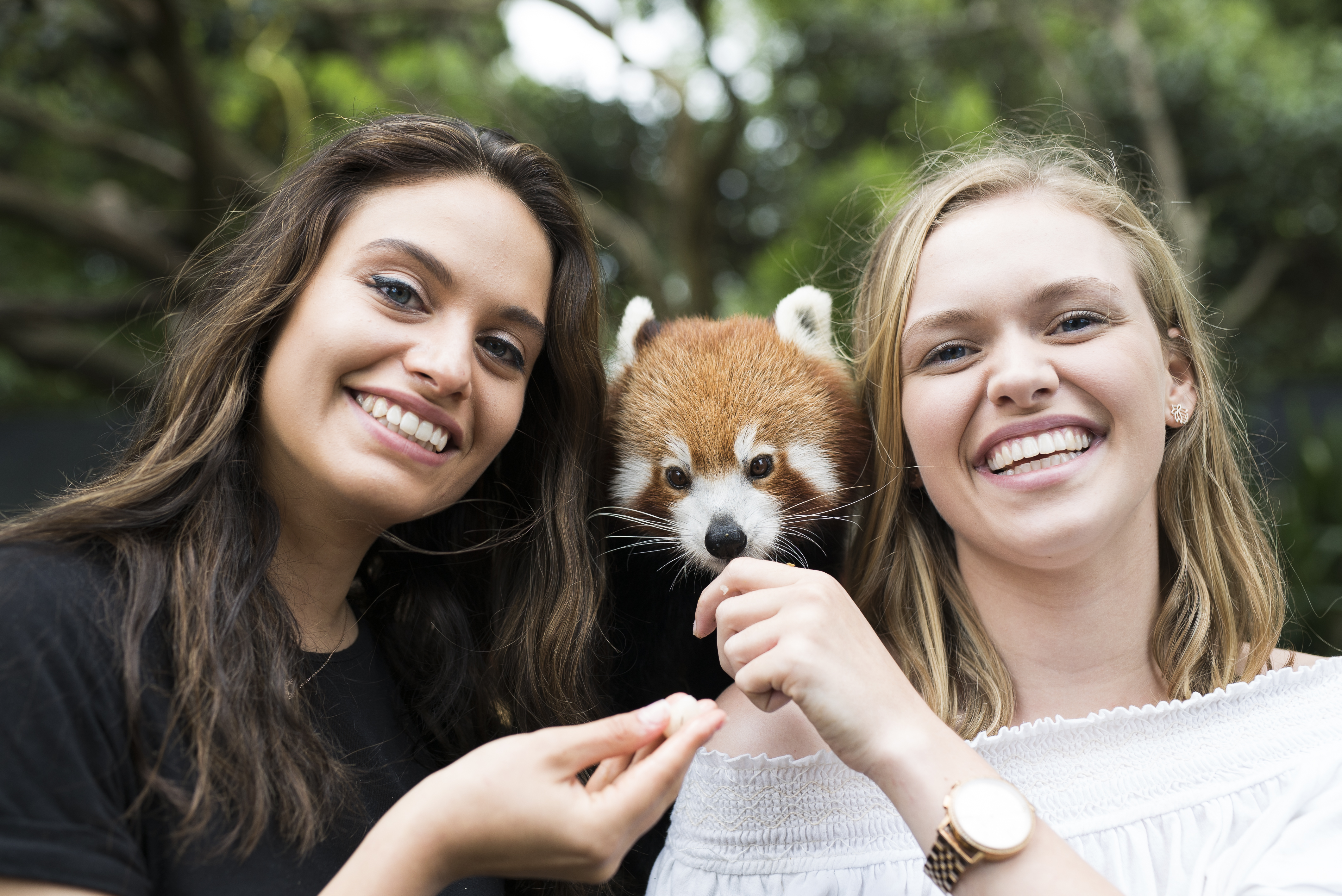 The best Xmas gift you can give!  post image