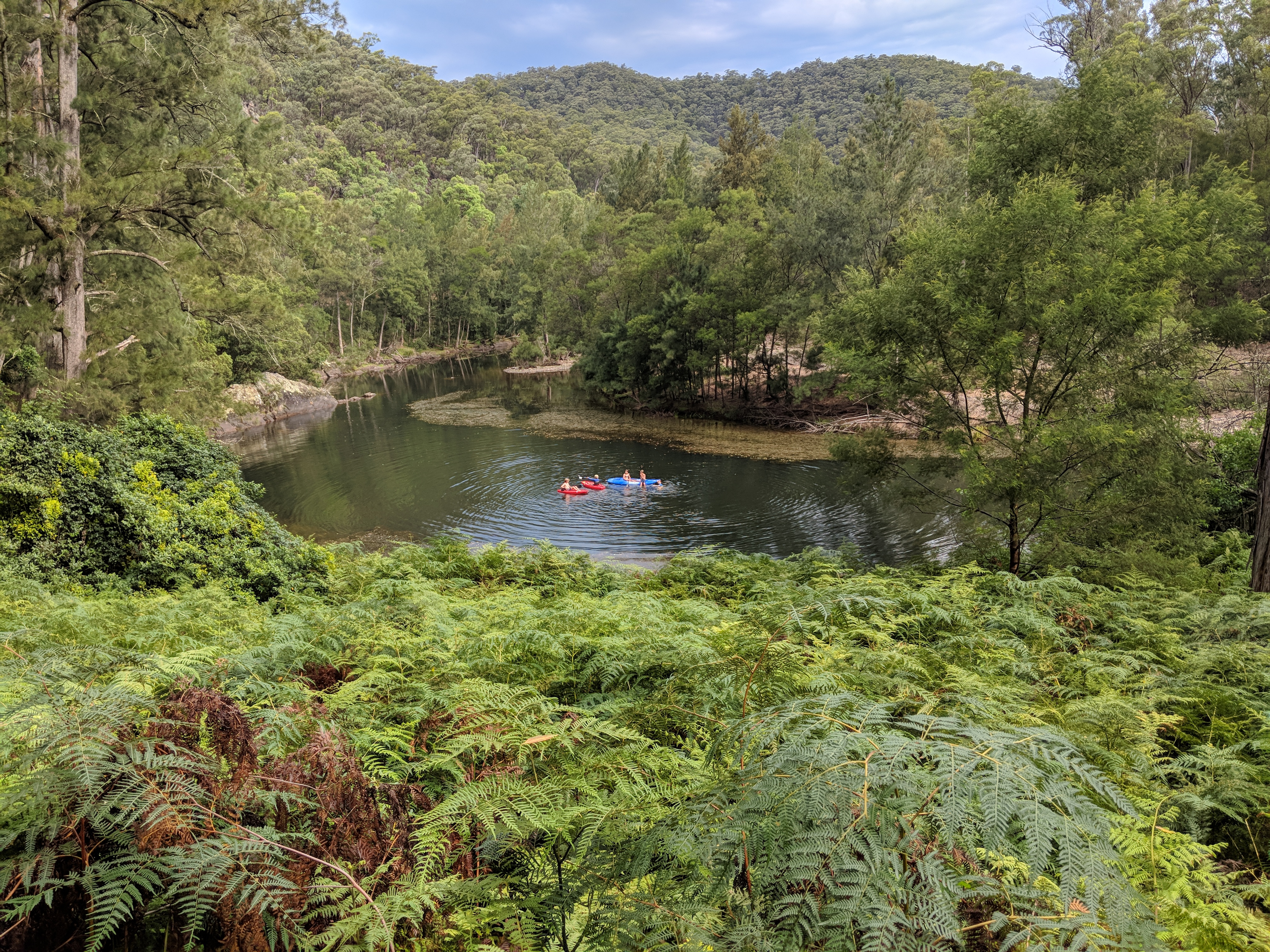 This group rid one Australian river of its privet problem – and strengthened community along the way