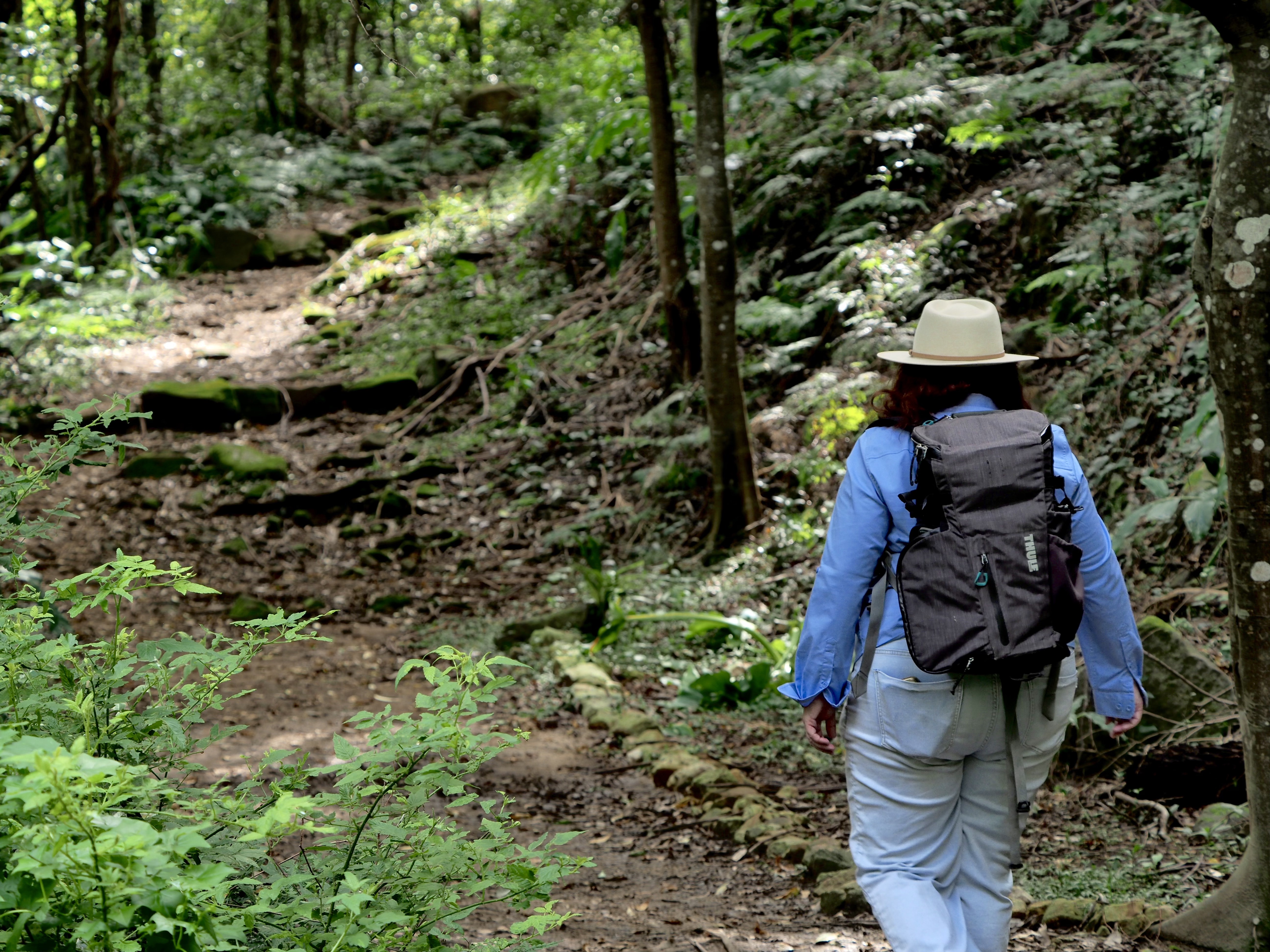 Morning Wednesday readers,