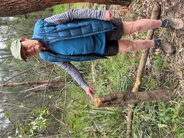 Bush care volunteers outraged by 'disgraceful act of wanton vandalism'  post image