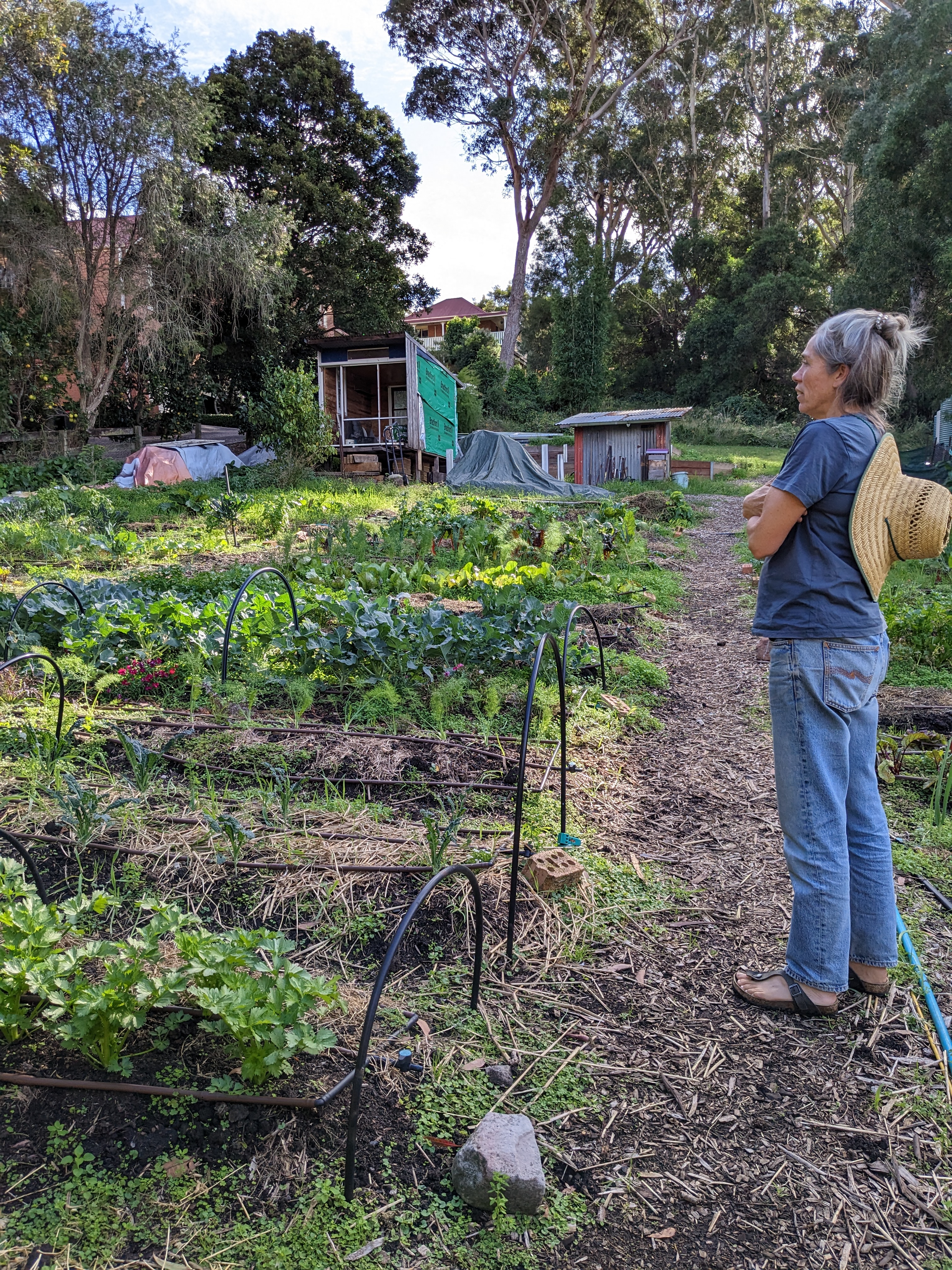 Save food miles, shop local spring produce  post image
