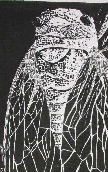 Bulli High exhibits Art Academy work  post image