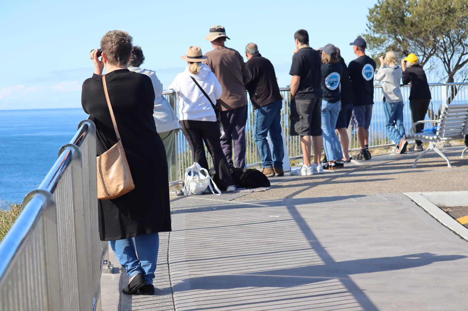 Volunteers have a whale of a time at ORRCA Census