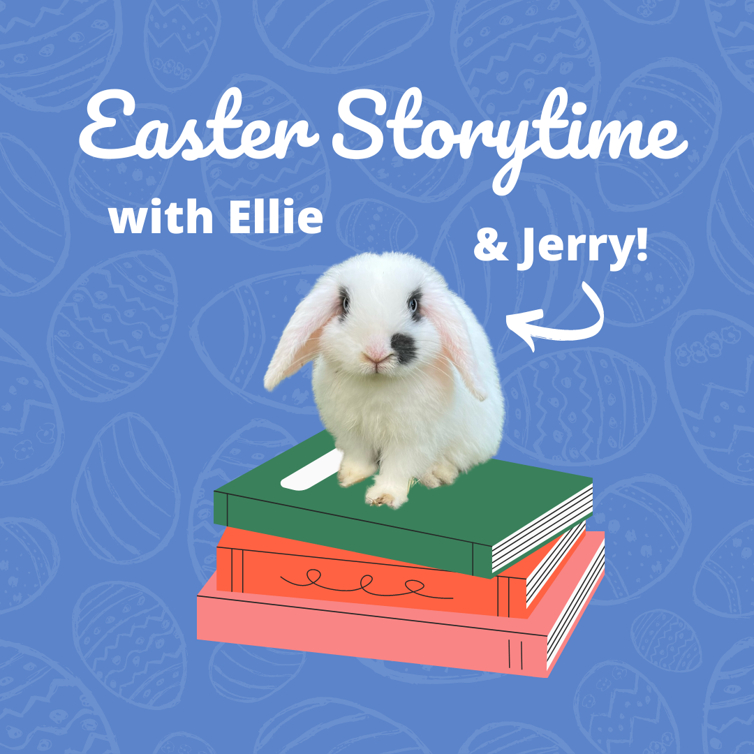 Hop in store!  post image