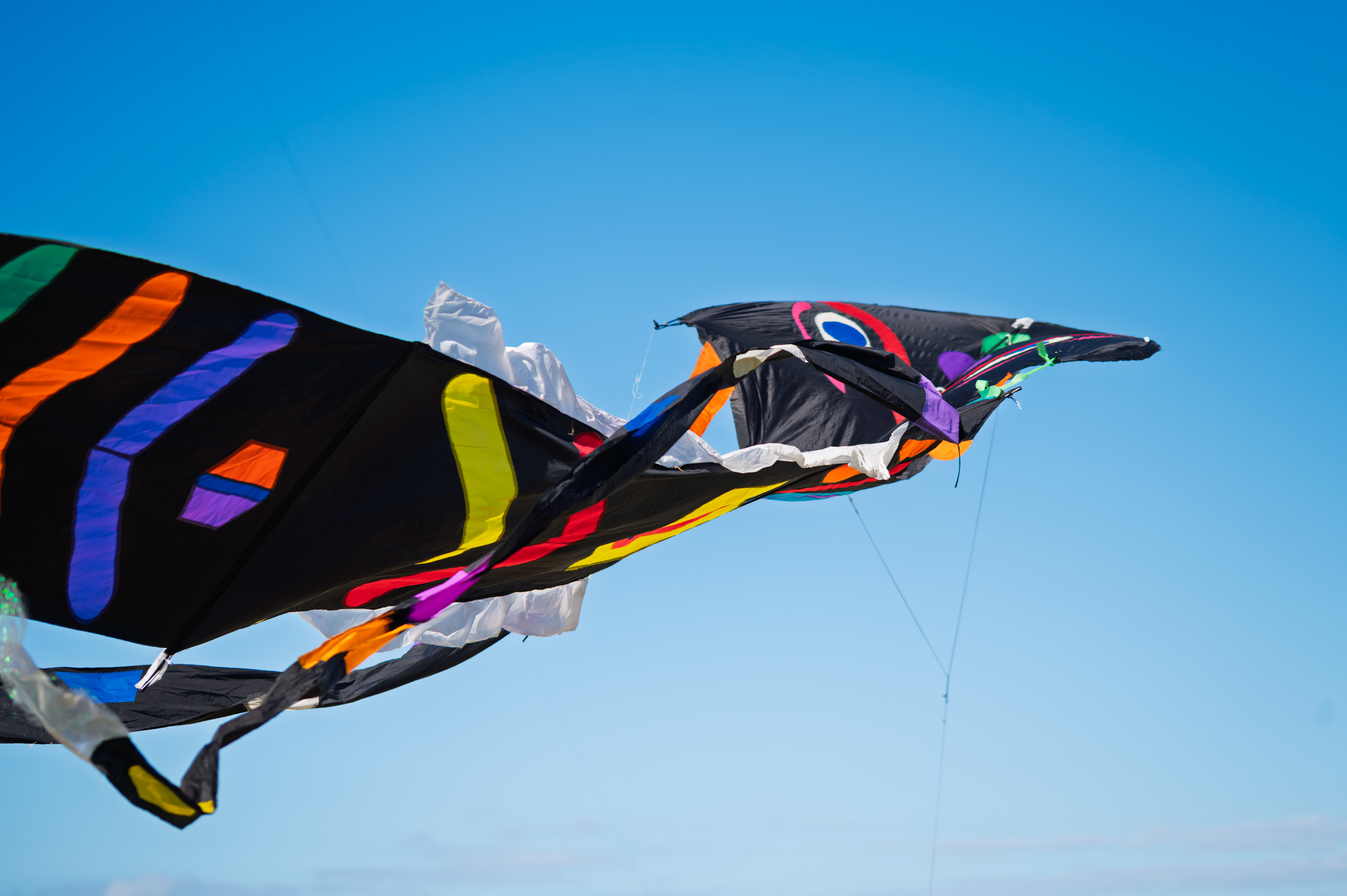 Kites soar by the sea at Thirroul festival's new family picnic day