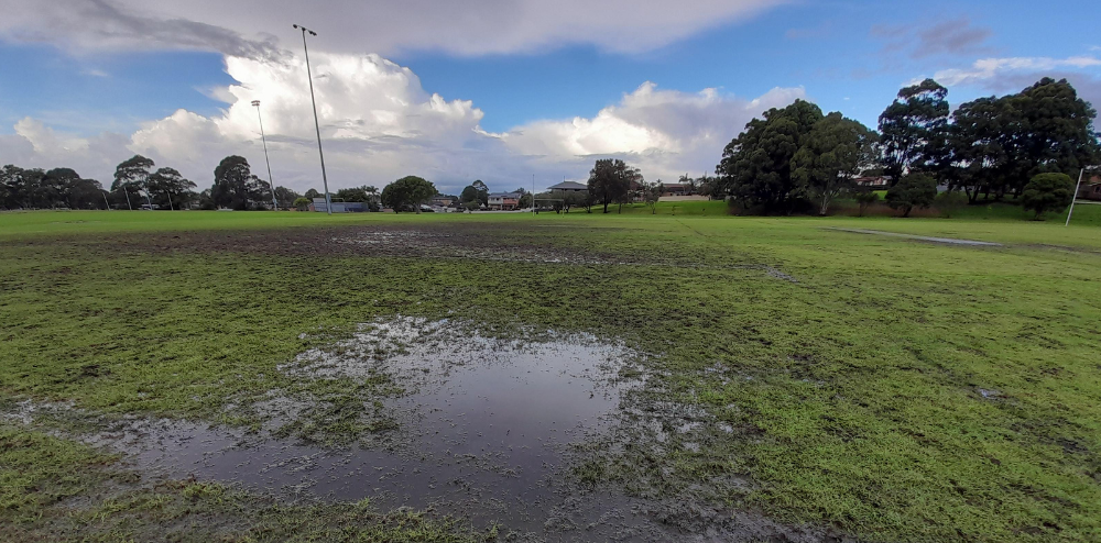 Council's Community Update: 1 June 2022