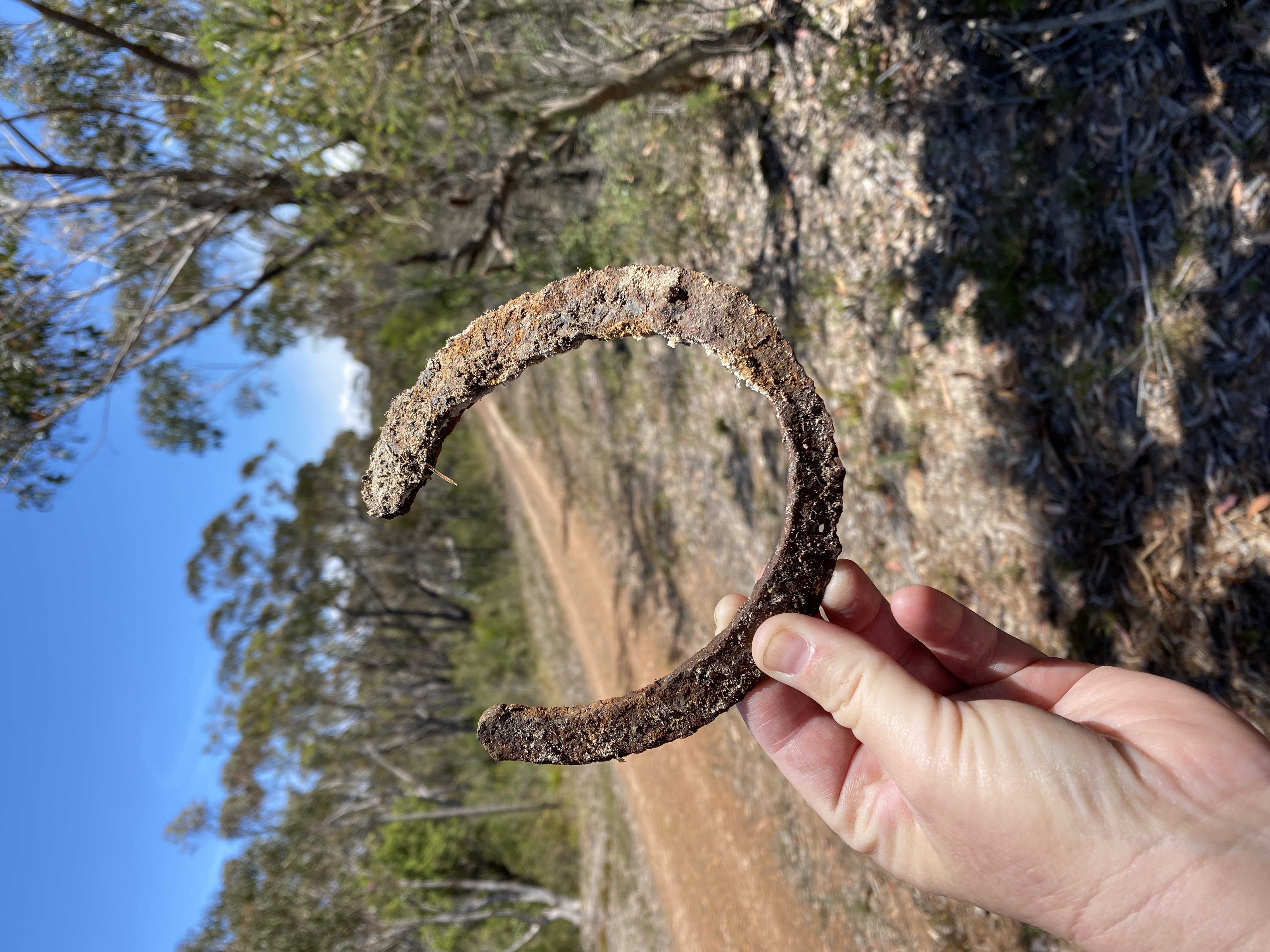 Hi, Wednesday readers