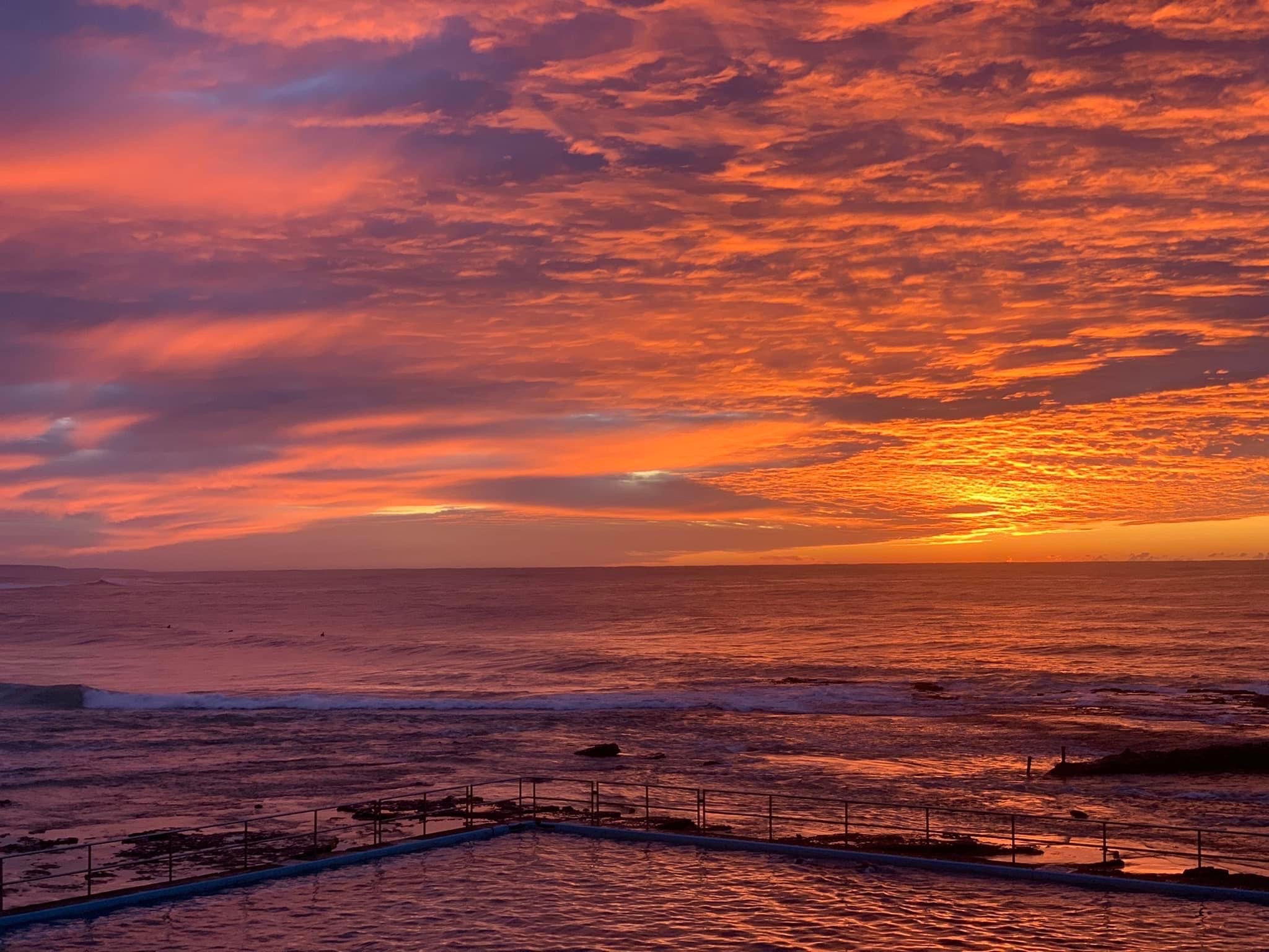 Nature Notes: 8 June 2022