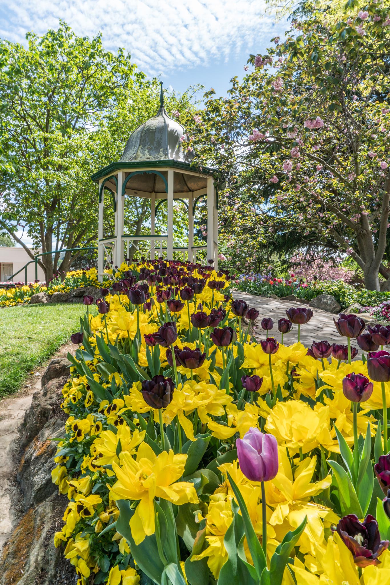 Spring sensation: discover the Tulip Time Festival in Bowral