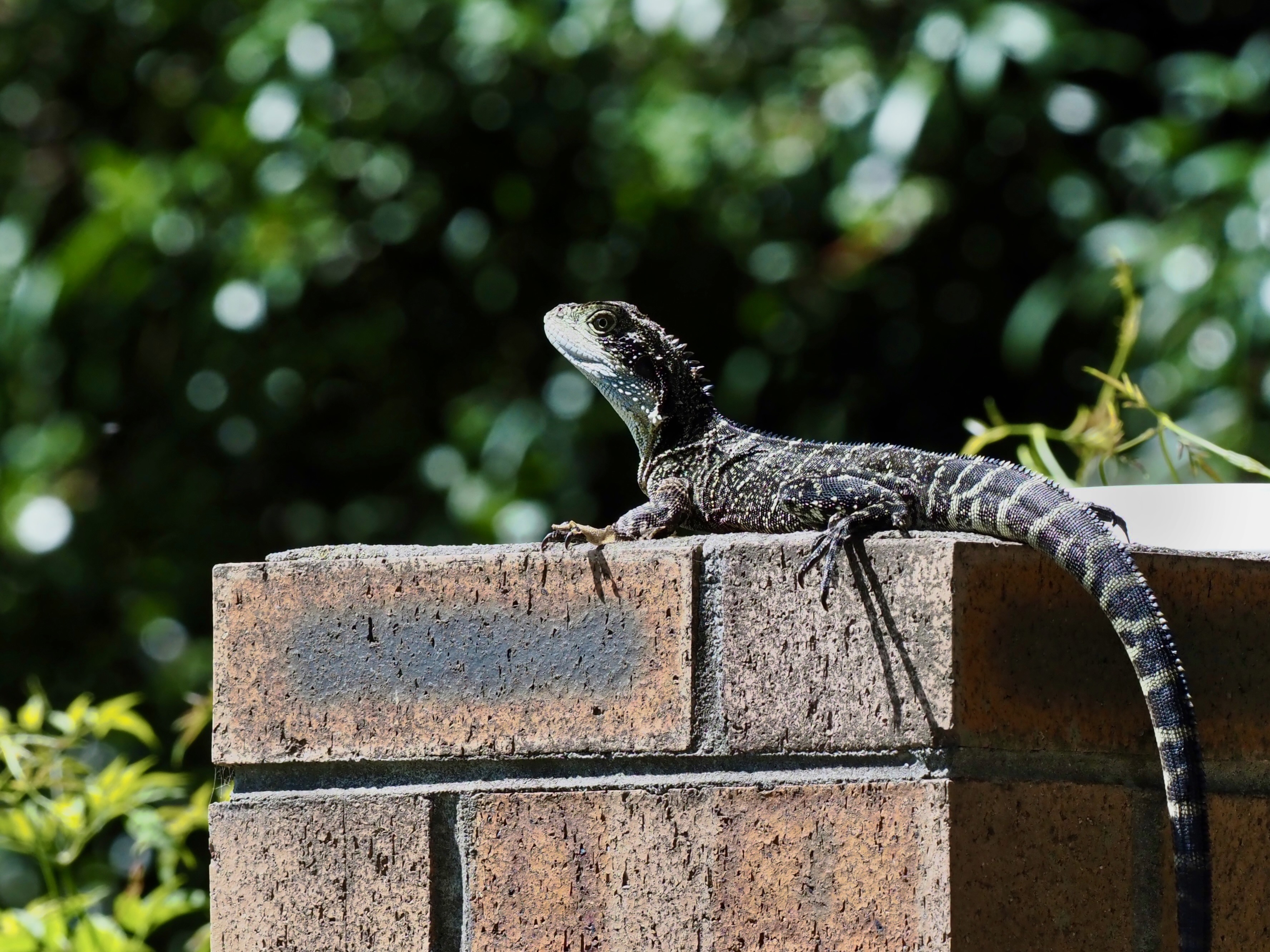 Welcome to Wednesday