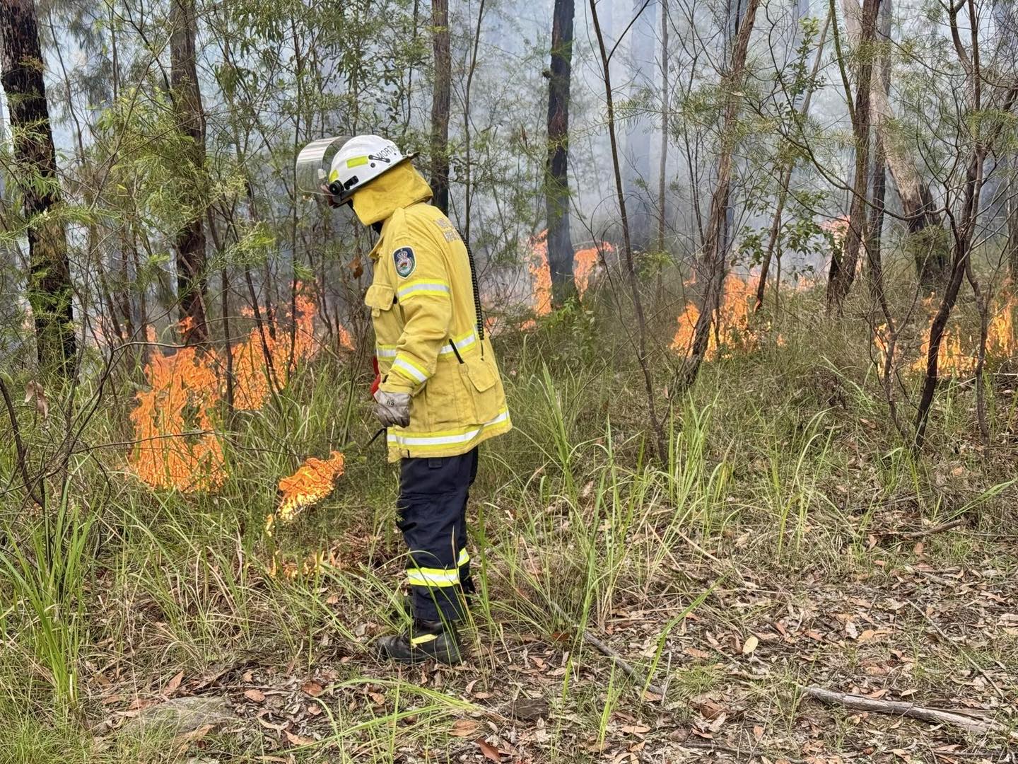 A cure for insomnia: Reviewing the draft Illawarra Bush Fire Risk Management Plan