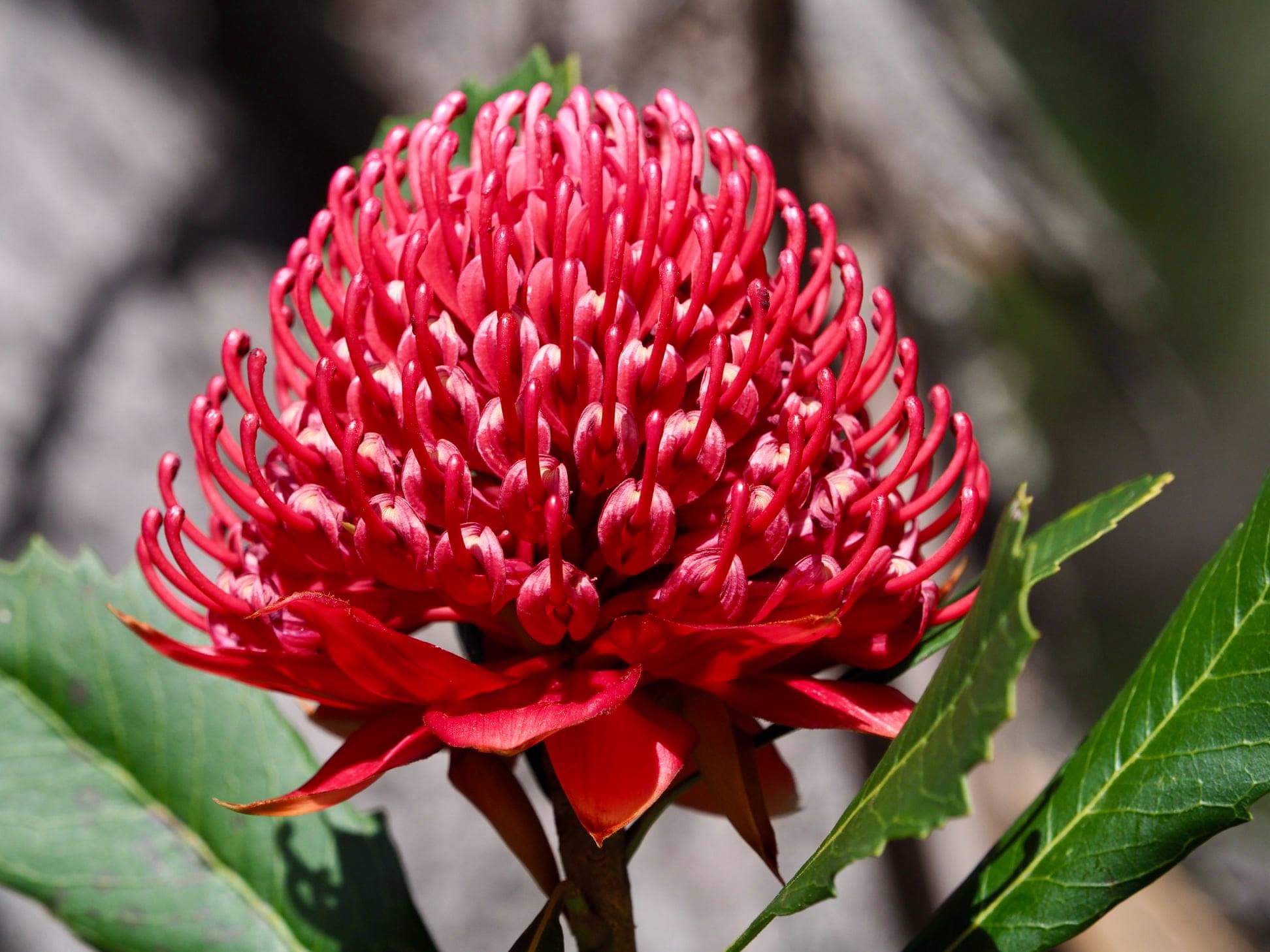 Hello, wild Wednesday readers