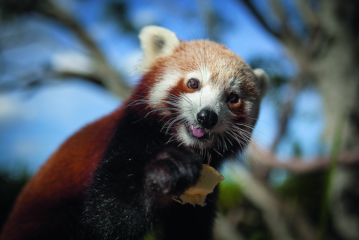 Pay it forward with Symbio  post image