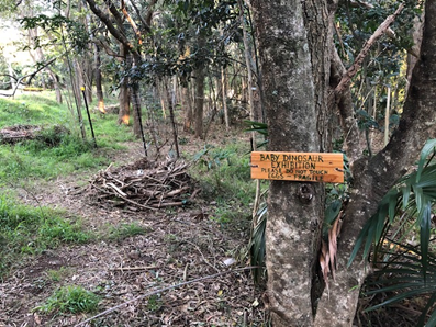 What’s hatched at Banksia Bush Care