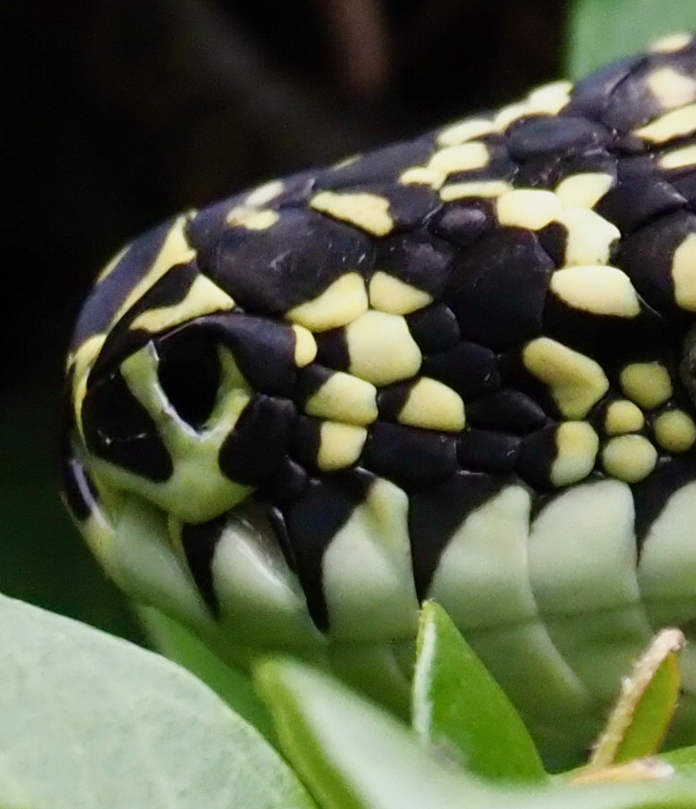 'While you are sleeping, I move through the night'  post image