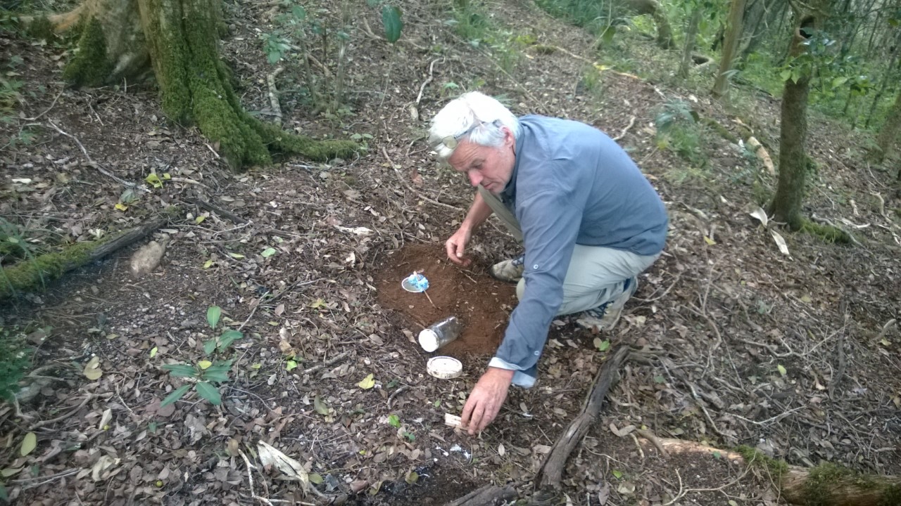 Beetling About: 'With 4kg of frozen fresh roo poo in a fridge'